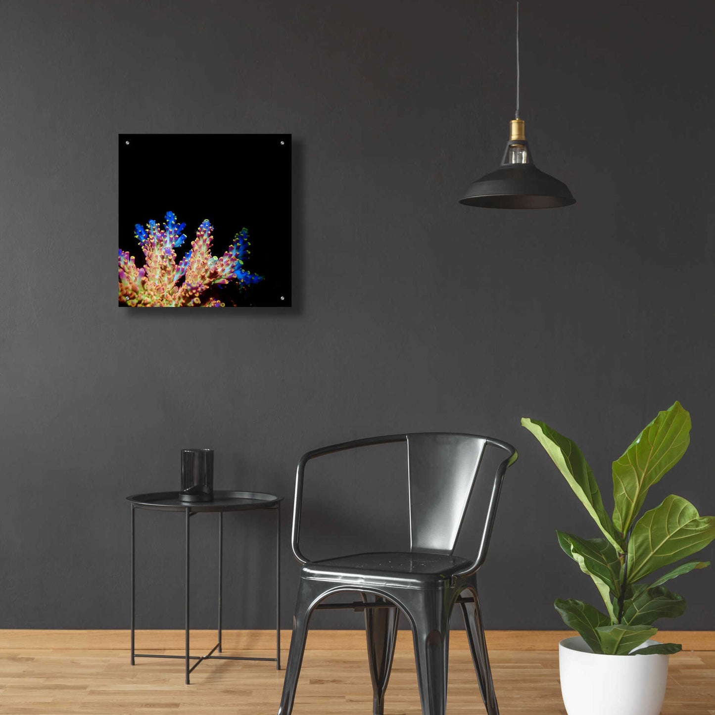 Epic Art 'Coral Reef' by Epic Portfolio Acrylic Glass Wall Art,24x24