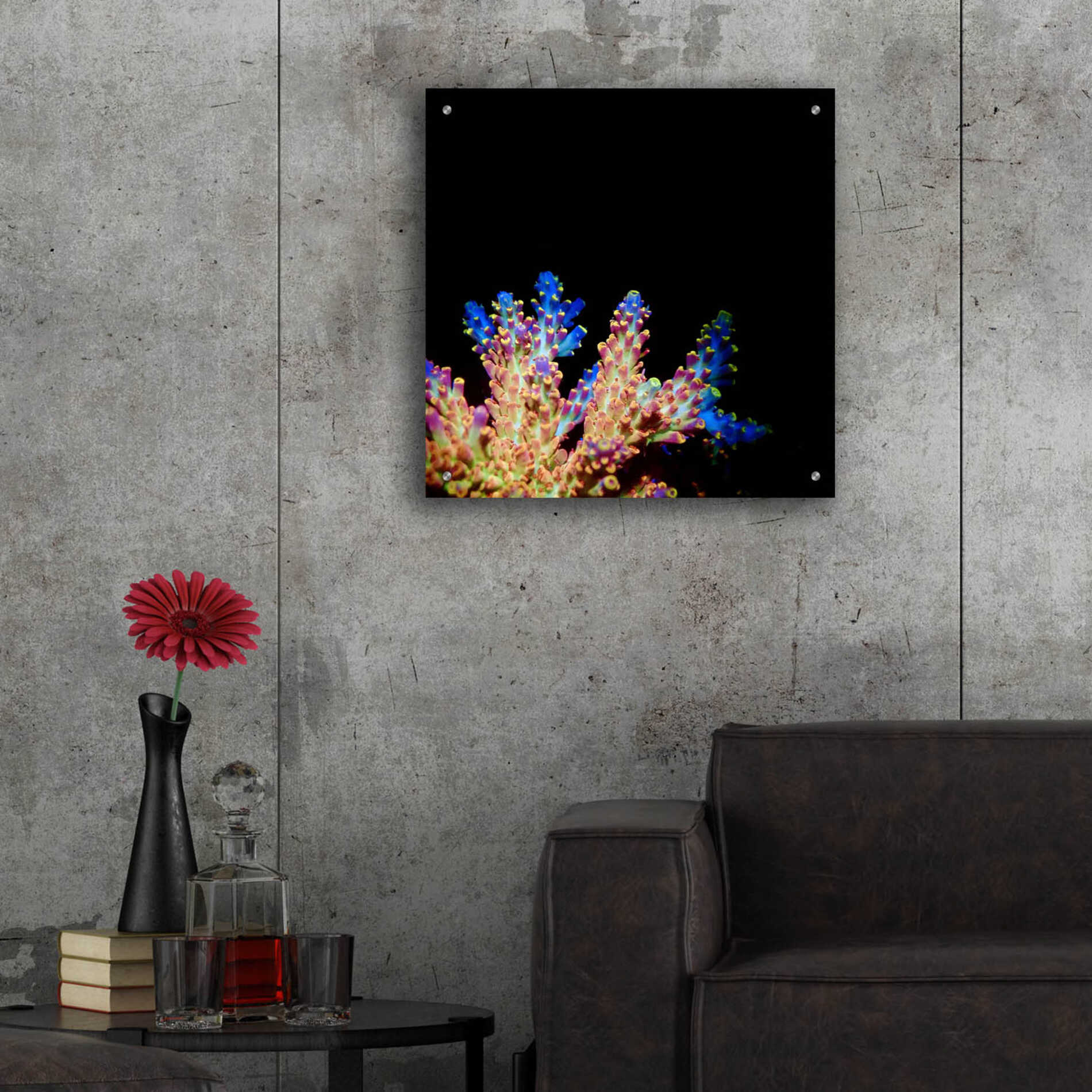 Epic Art 'Coral Reef' by Epic Portfolio Acrylic Glass Wall Art,24x24