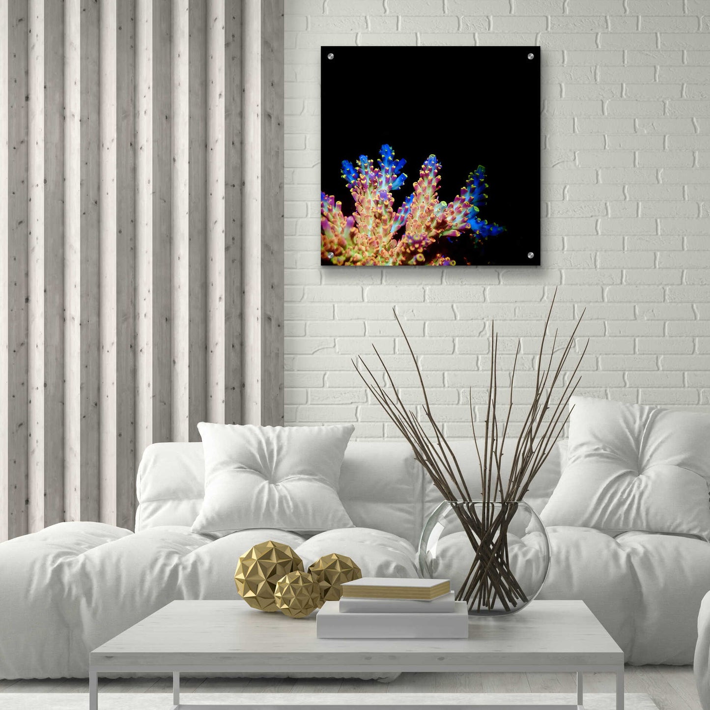 Epic Art 'Coral Reef' by Epic Portfolio Acrylic Glass Wall Art,24x24