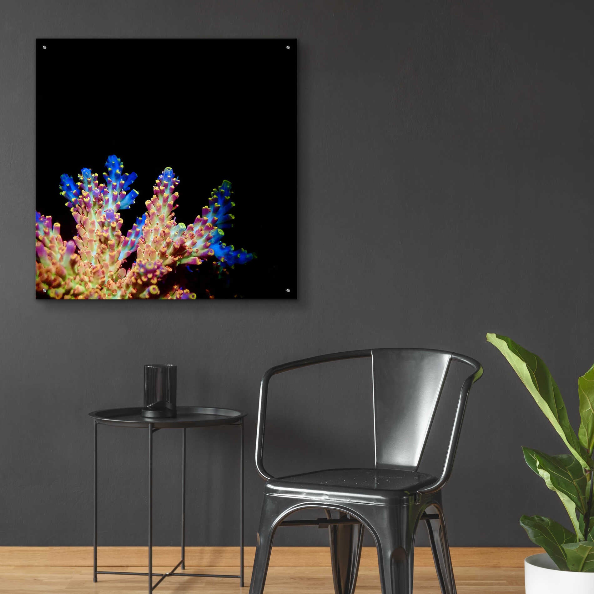 Epic Art 'Coral Reef' by Epic Portfolio Acrylic Glass Wall Art,36x36