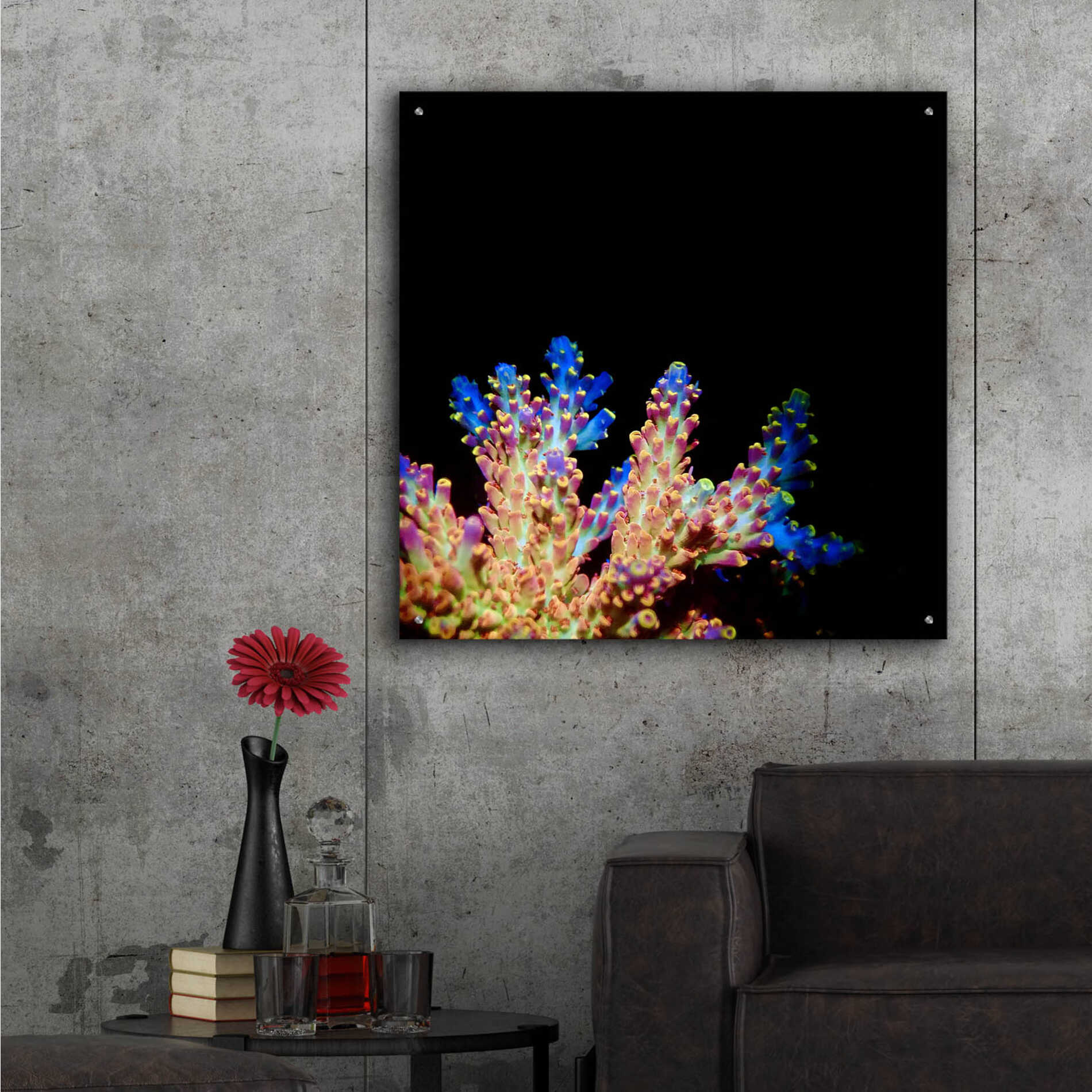 Epic Art 'Coral Reef' by Epic Portfolio Acrylic Glass Wall Art,36x36