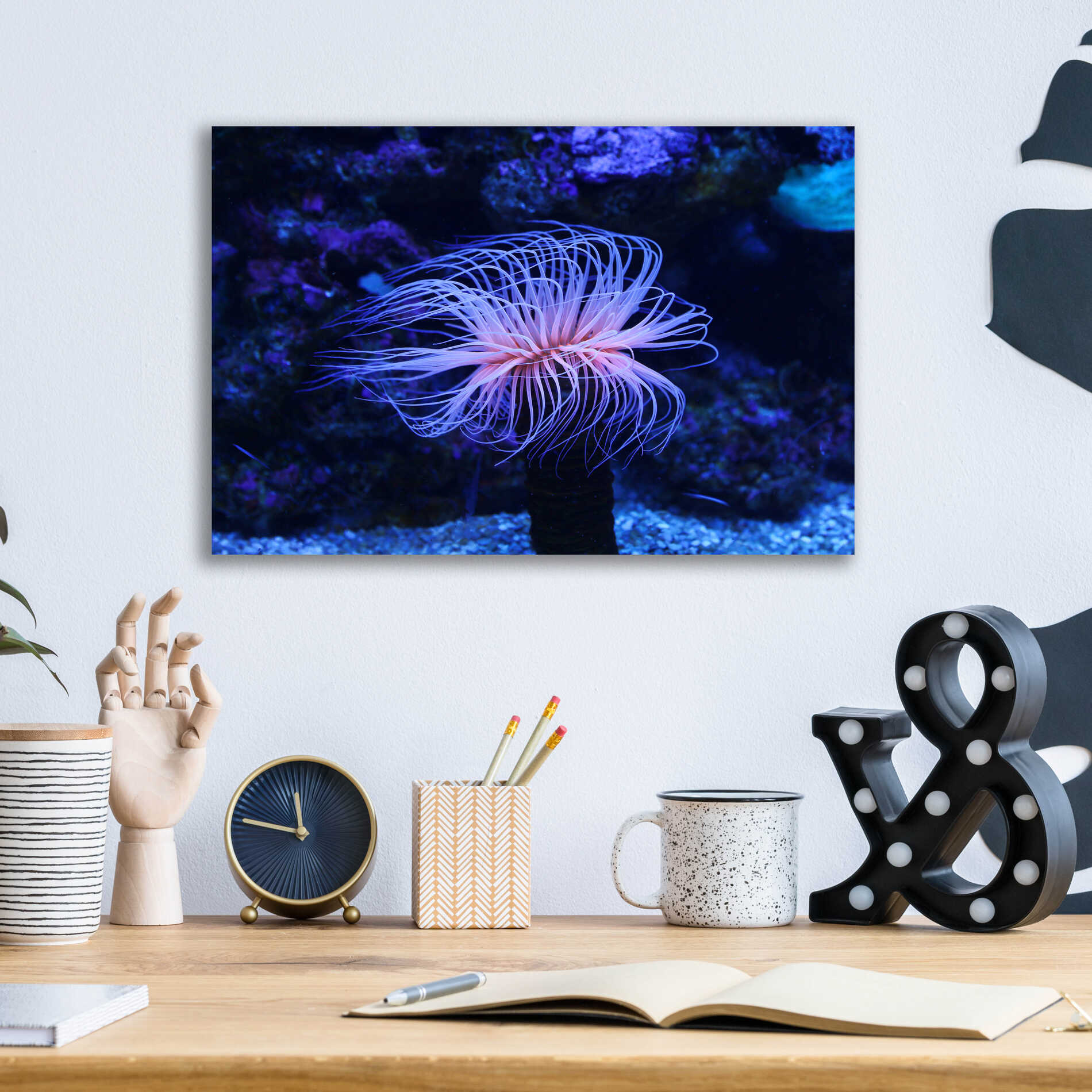 Epic Art 'Deep Sea Tango ' by Epic Portfolio Acrylic Glass Wall Art,16x12