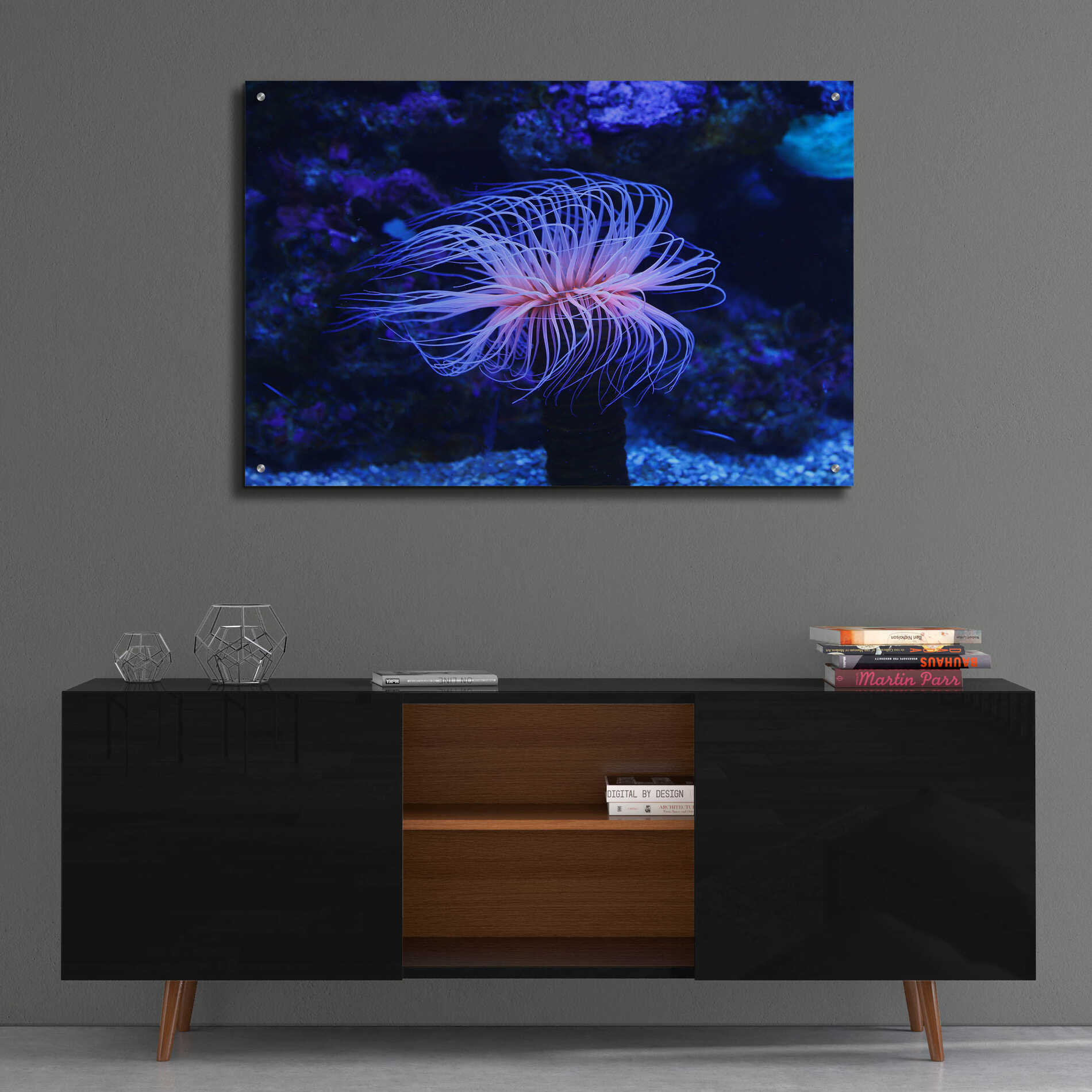 Epic Art 'Deep Sea Tango ' by Epic Portfolio Acrylic Glass Wall Art,36x24