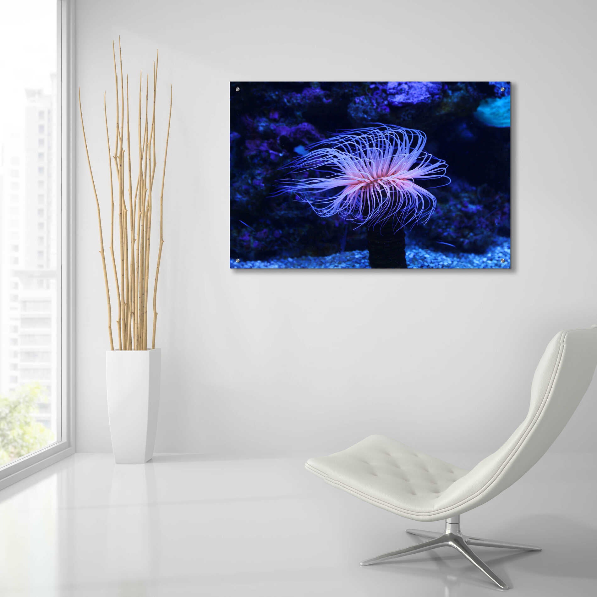 Epic Art 'Deep Sea Tango ' by Epic Portfolio Acrylic Glass Wall Art,36x24