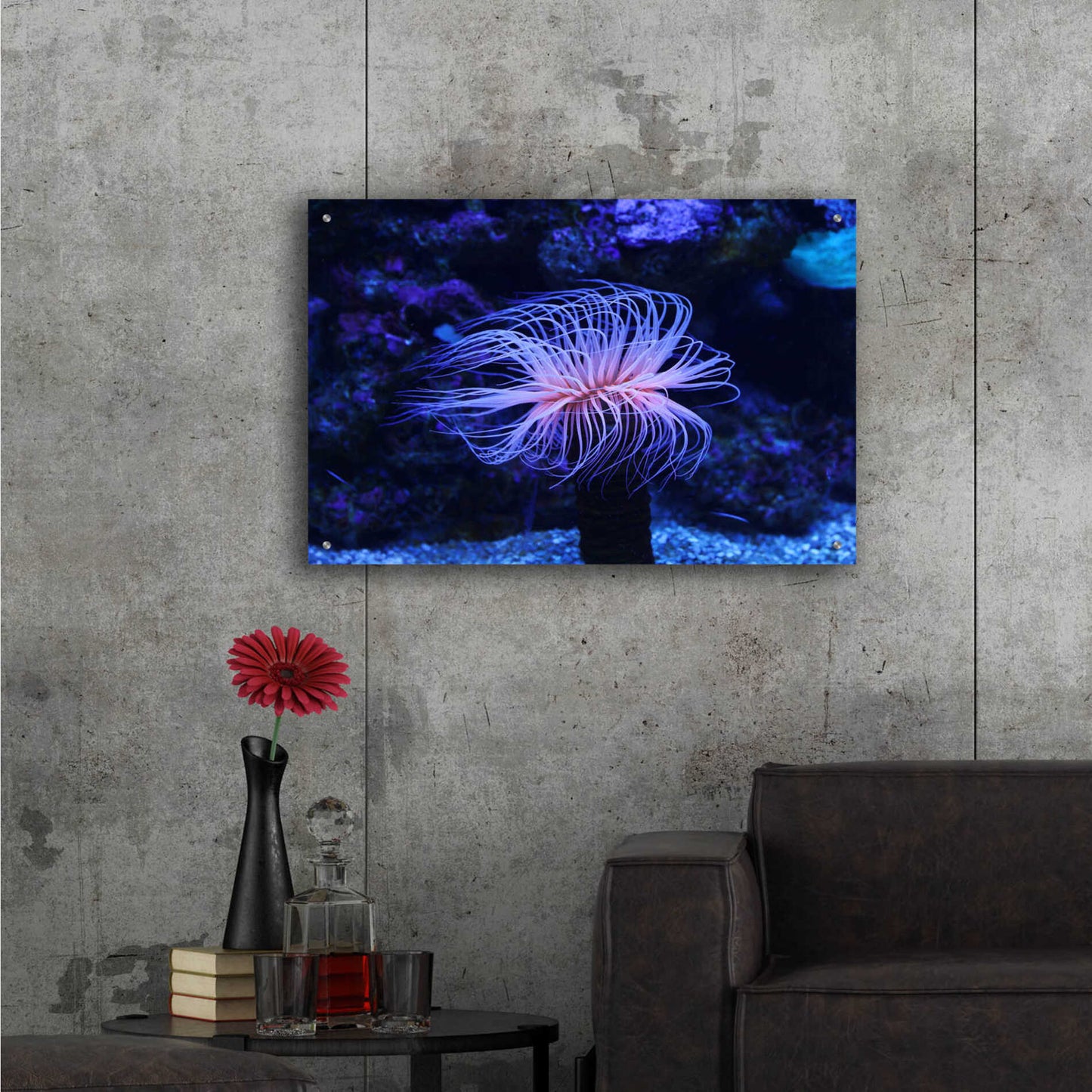 Epic Art 'Deep Sea Tango ' by Epic Portfolio Acrylic Glass Wall Art,36x24