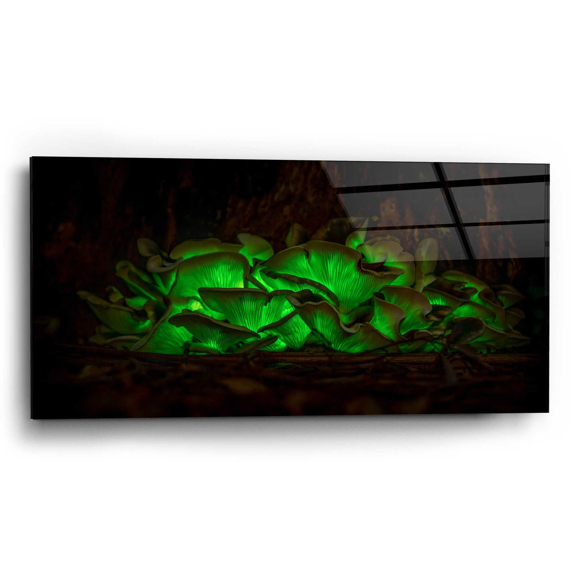 Epic Art 'Emerald Boom' by Epic Portfolio Acrylic Glass Wall Art,24x12