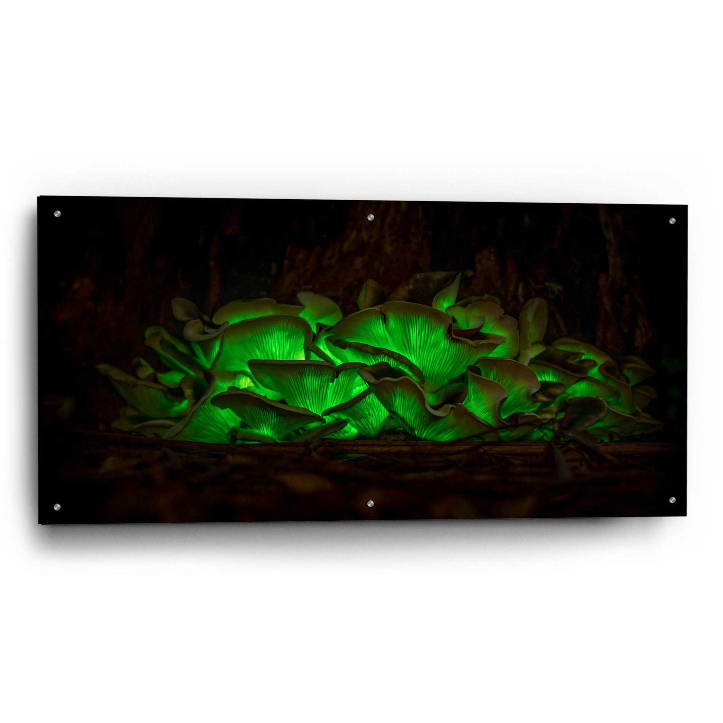 Epic Art 'Emerald Boom' by Epic Portfolio Acrylic Glass Wall Art,48x24