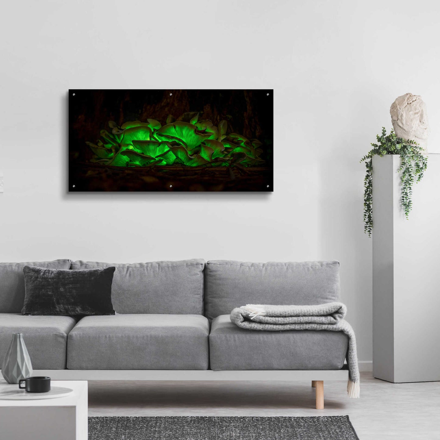 Epic Art 'Emerald Boom' by Epic Portfolio Acrylic Glass Wall Art,48x24