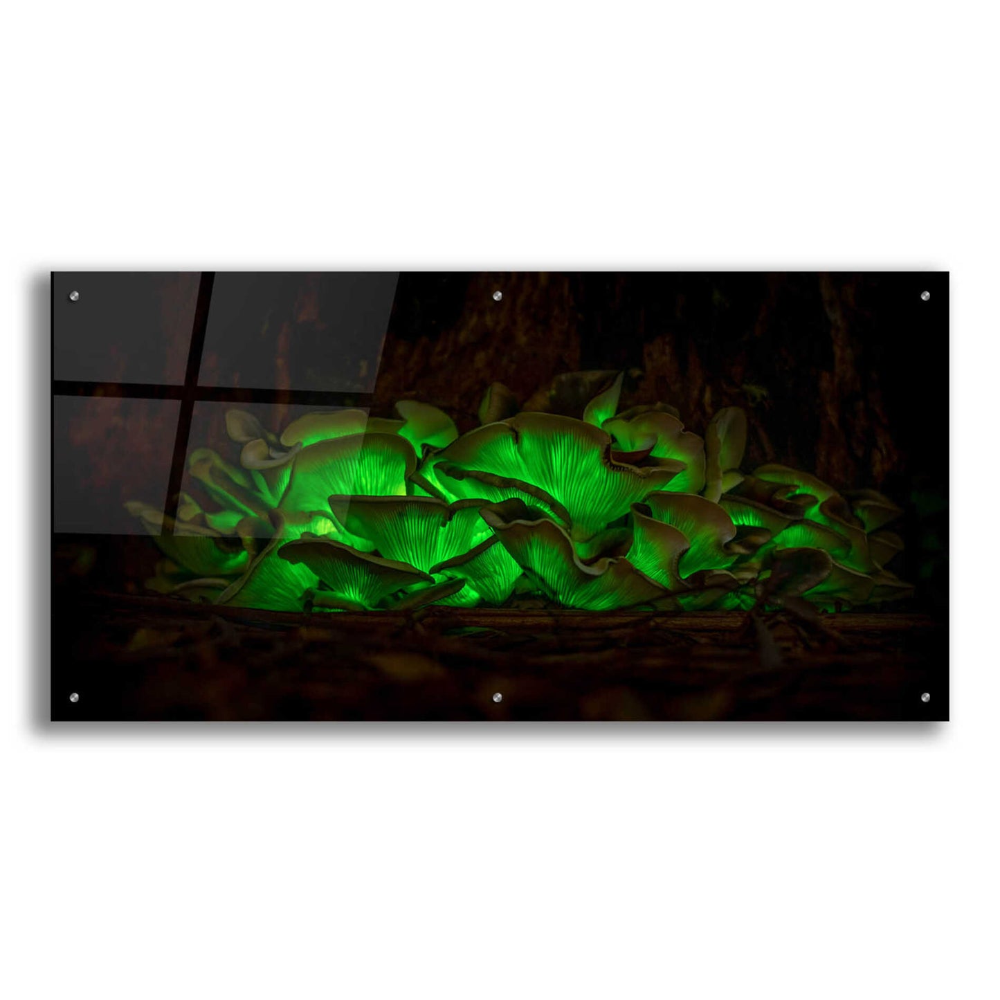 Epic Art 'Emerald Boom' by Epic Portfolio Acrylic Glass Wall Art,48x24