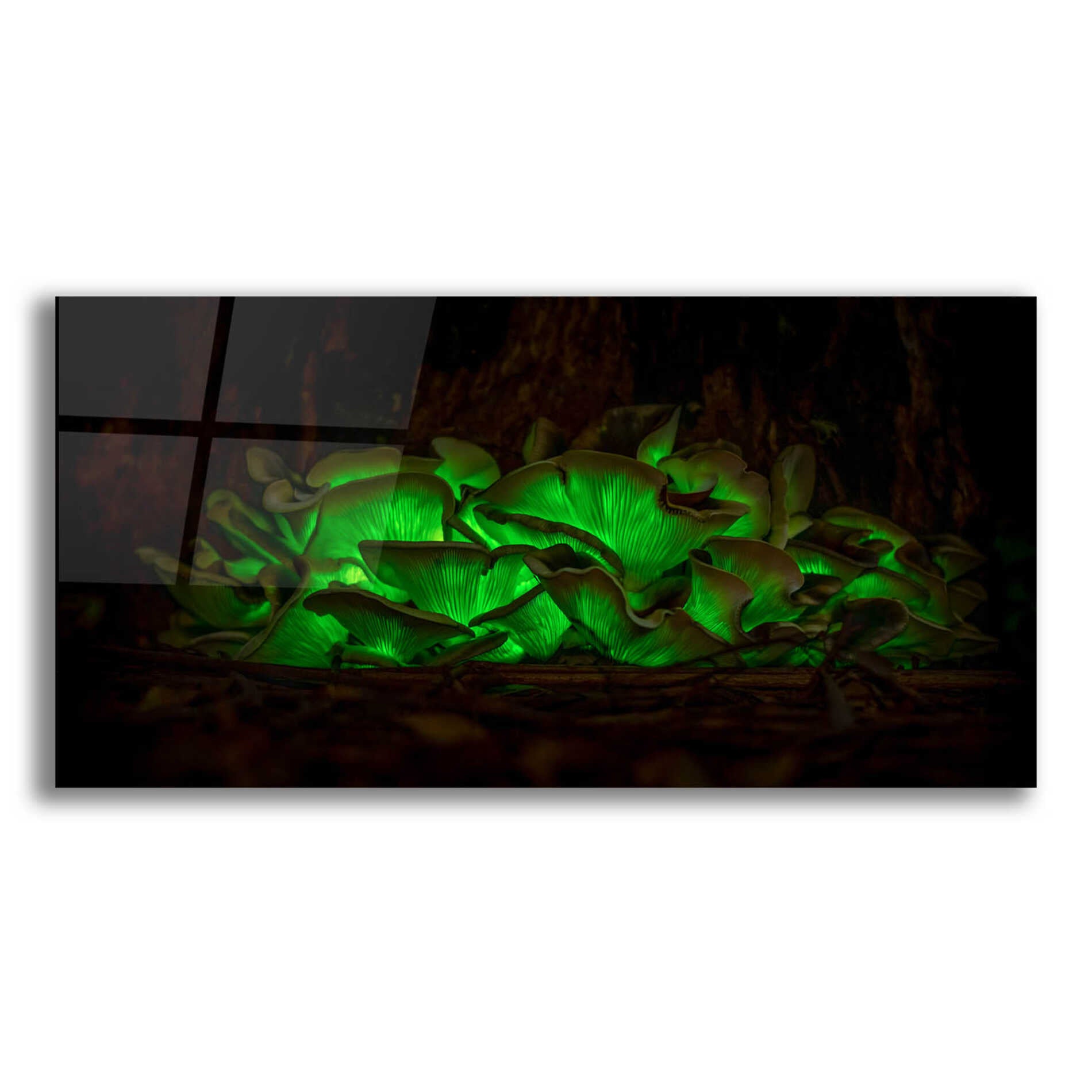 Epic Art 'Emerald Boom' by Epic Portfolio Acrylic Glass Wall Art
