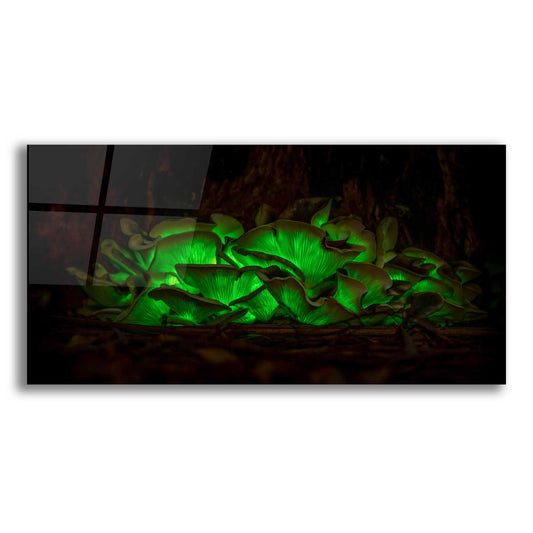 Epic Art 'Emerald Boom' by Epic Portfolio Acrylic Glass Wall Art