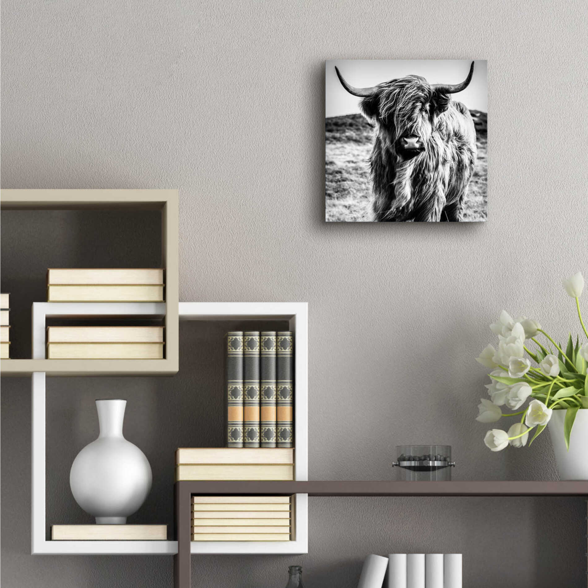 Epic Art 'Fluffy Cow' by Epic Portfolio Acrylic Glass Wall Art,12x12