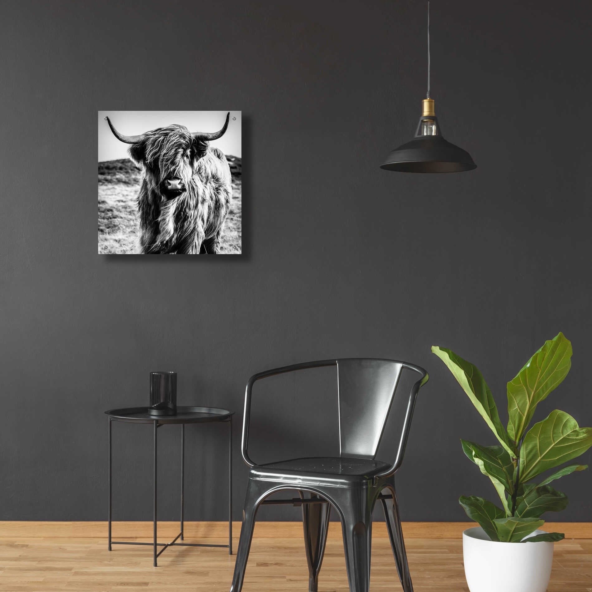 Epic Art 'Fluffy Cow' by Epic Portfolio Acrylic Glass Wall Art,24x24