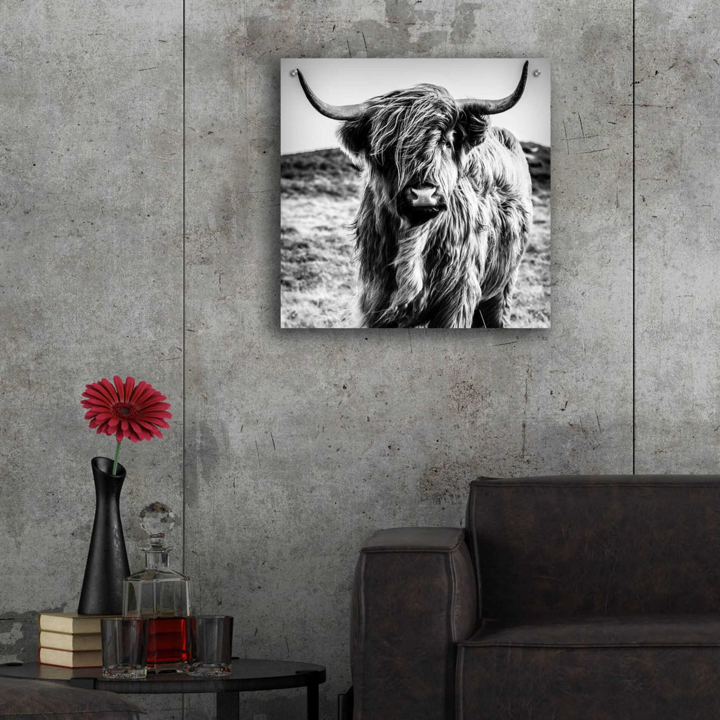 Epic Art 'Fluffy Cow' by Epic Portfolio Acrylic Glass Wall Art,24x24