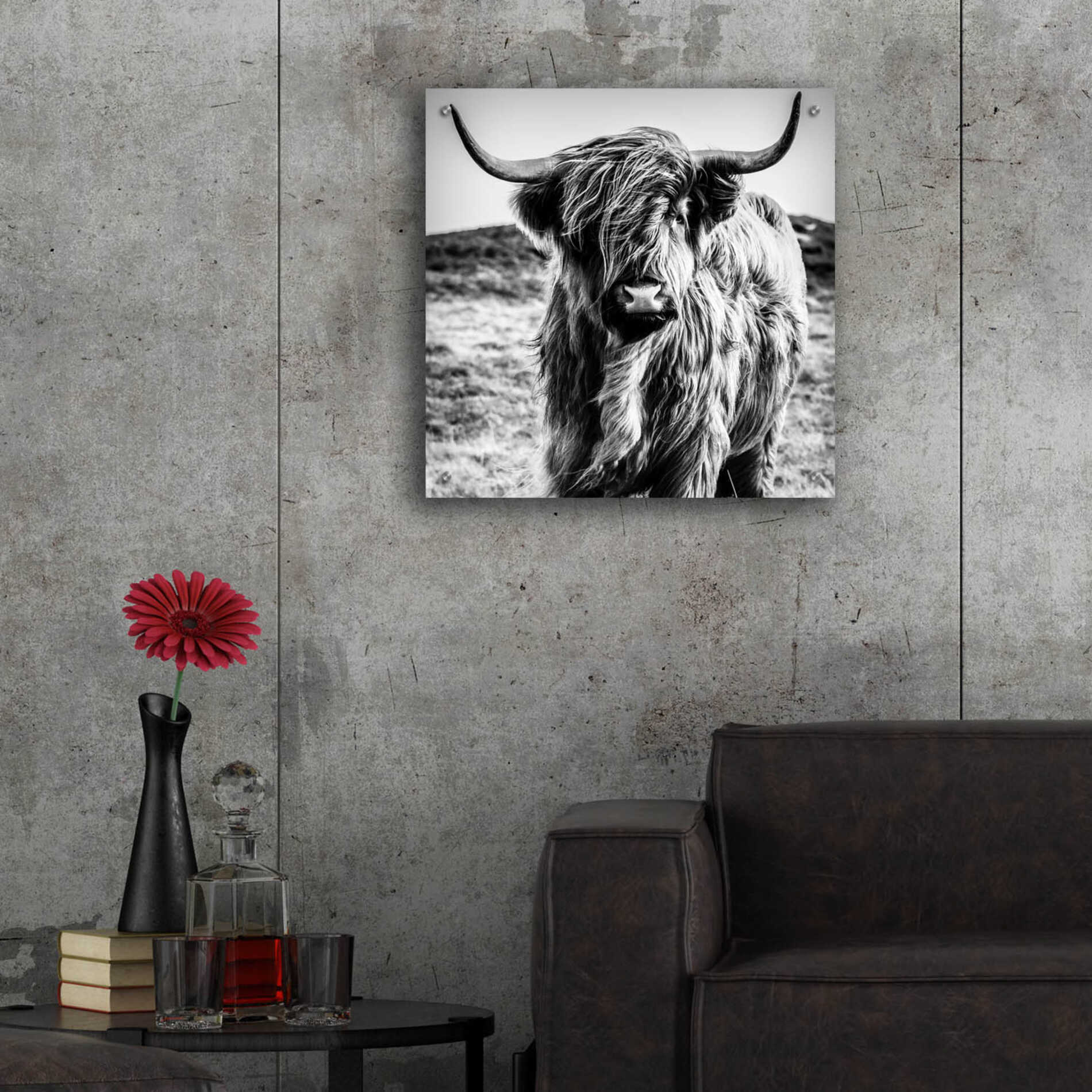 Epic Art 'Fluffy Cow' by Epic Portfolio Acrylic Glass Wall Art,24x24