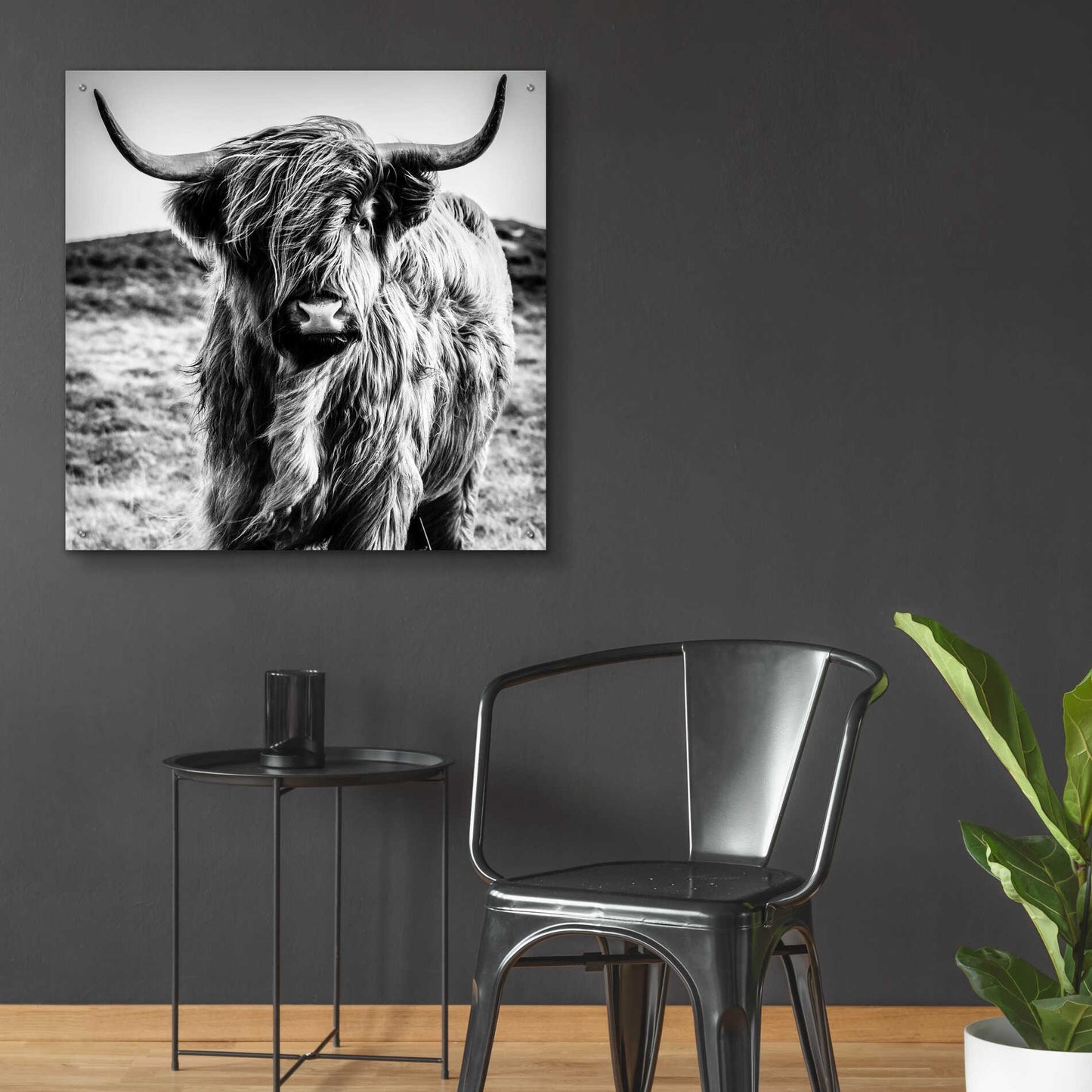 Epic Art 'Fluffy Cow' by Epic Portfolio Acrylic Glass Wall Art,36x36