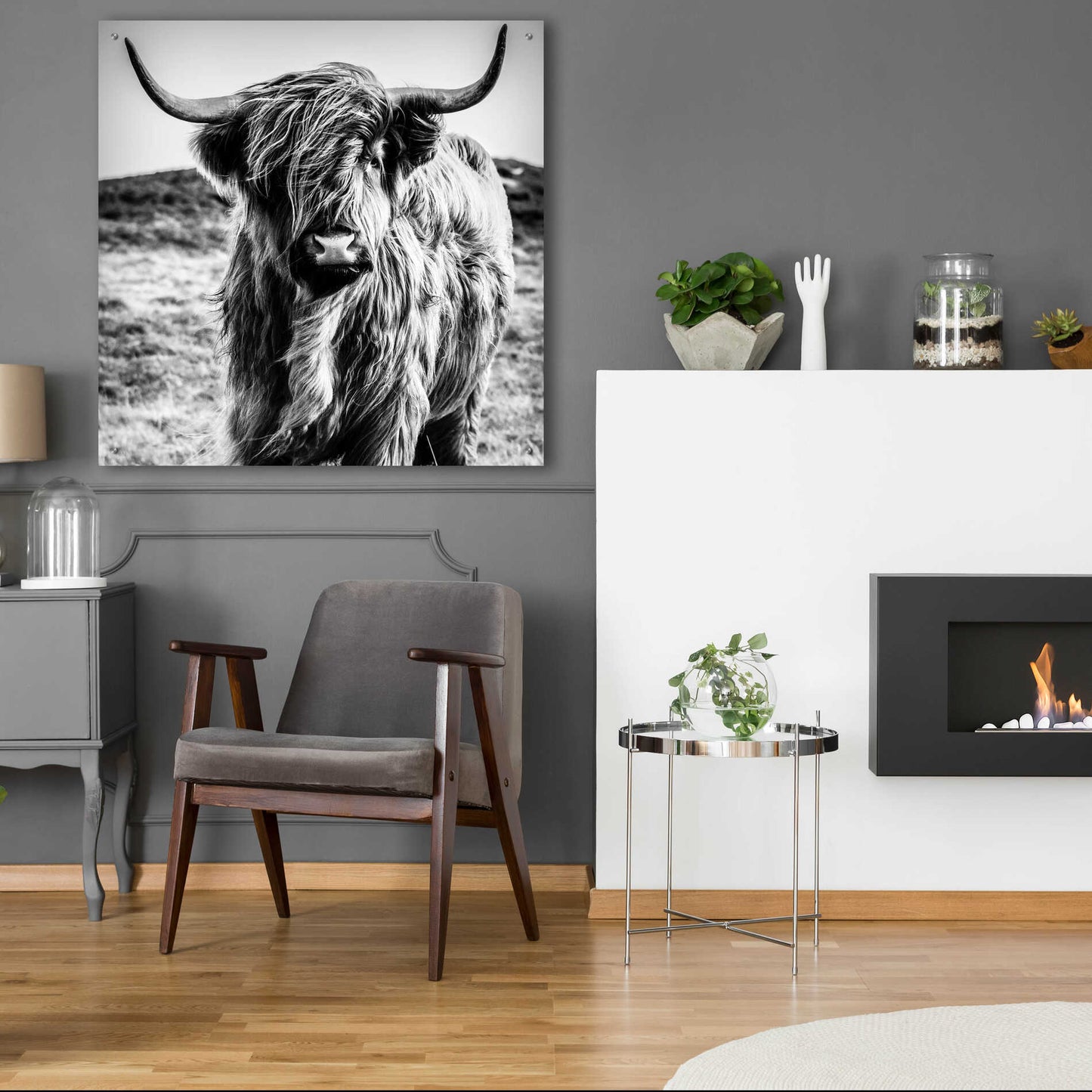 Epic Art 'Fluffy Cow' by Epic Portfolio Acrylic Glass Wall Art,36x36