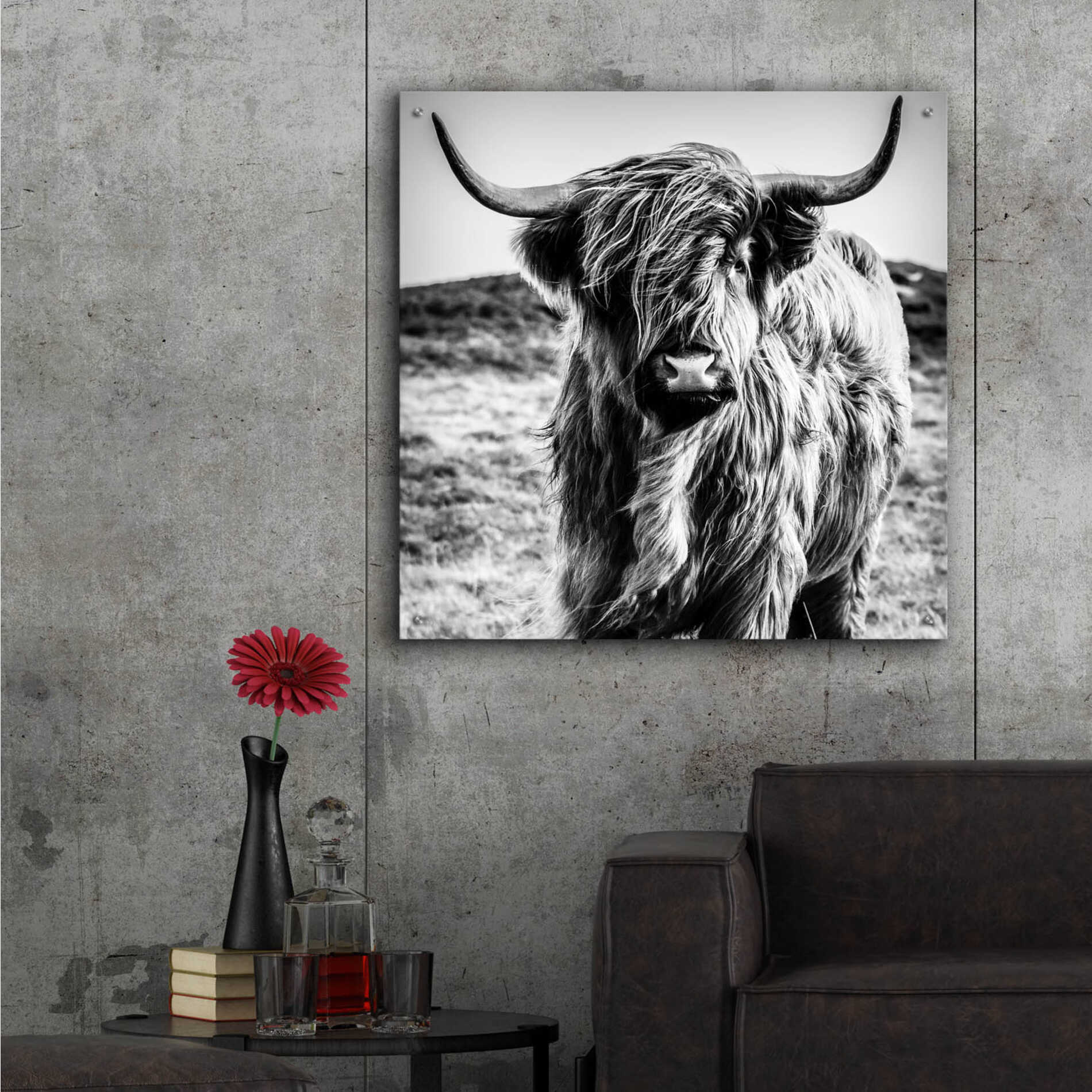 Epic Art 'Fluffy Cow' by Epic Portfolio Acrylic Glass Wall Art,36x36