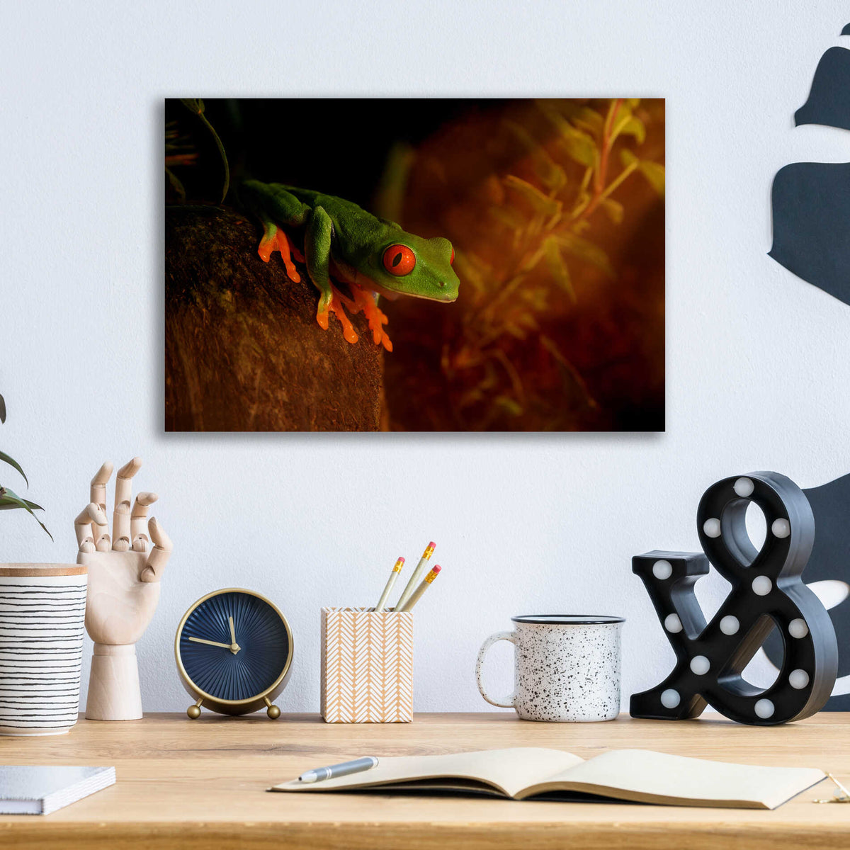 Epic Art 'Froggy' by Epic Portfolio Acrylic Glass Wall Art,16x12