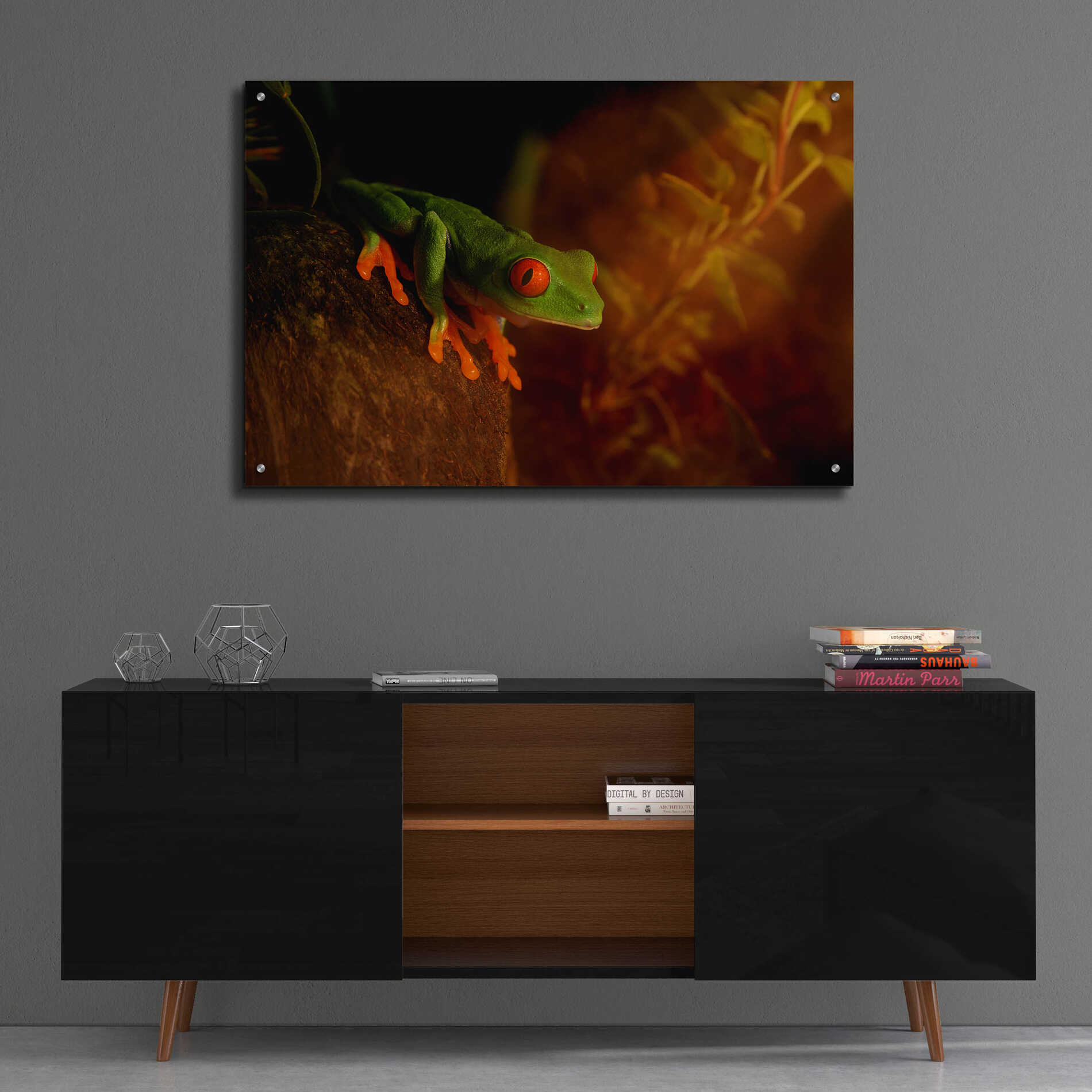 Epic Art 'Froggy' by Epic Portfolio Acrylic Glass Wall Art,36x24