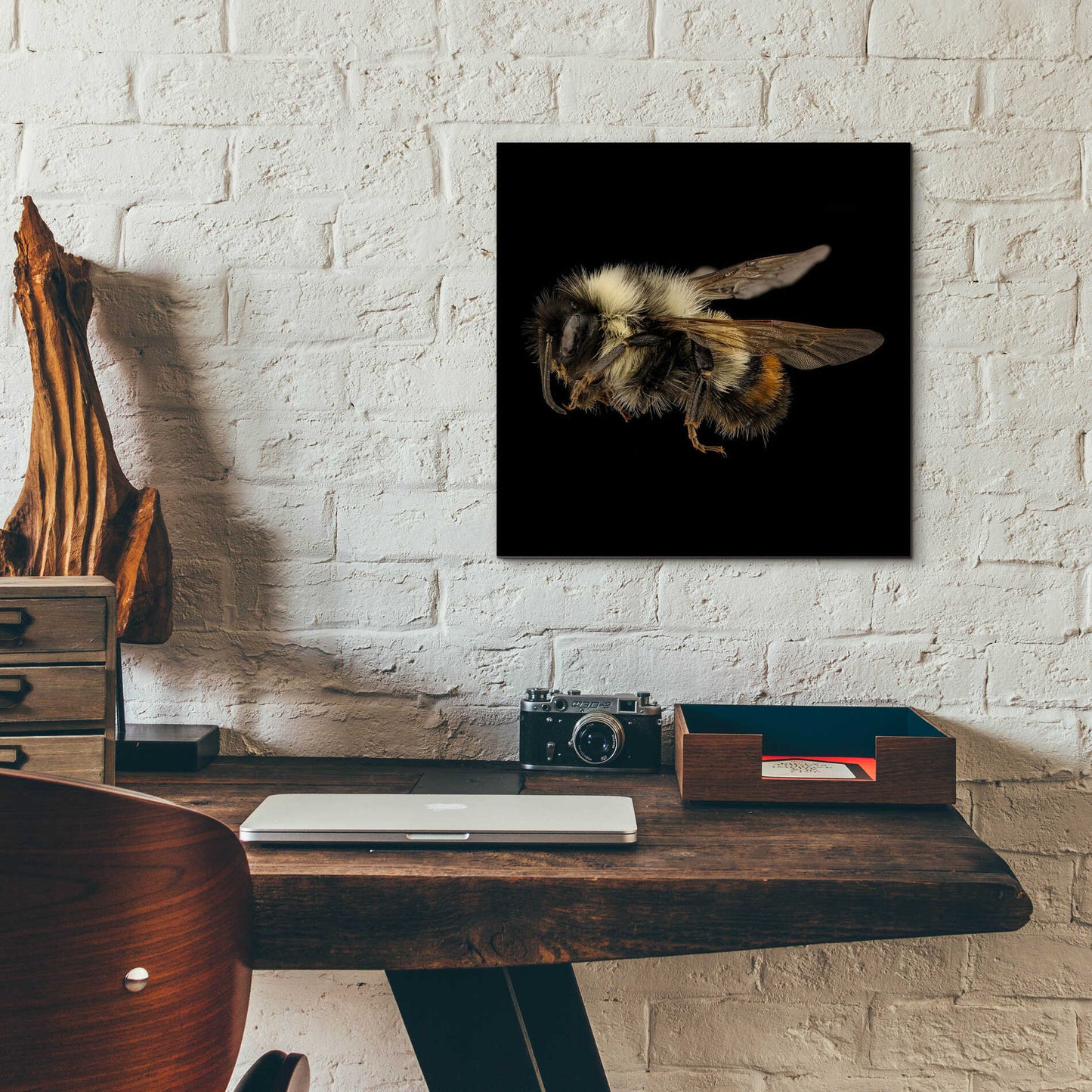 Epic Art 'Fuzzy Buzzy' by Epic Portfolio Acrylic Glass Wall Art,12x12