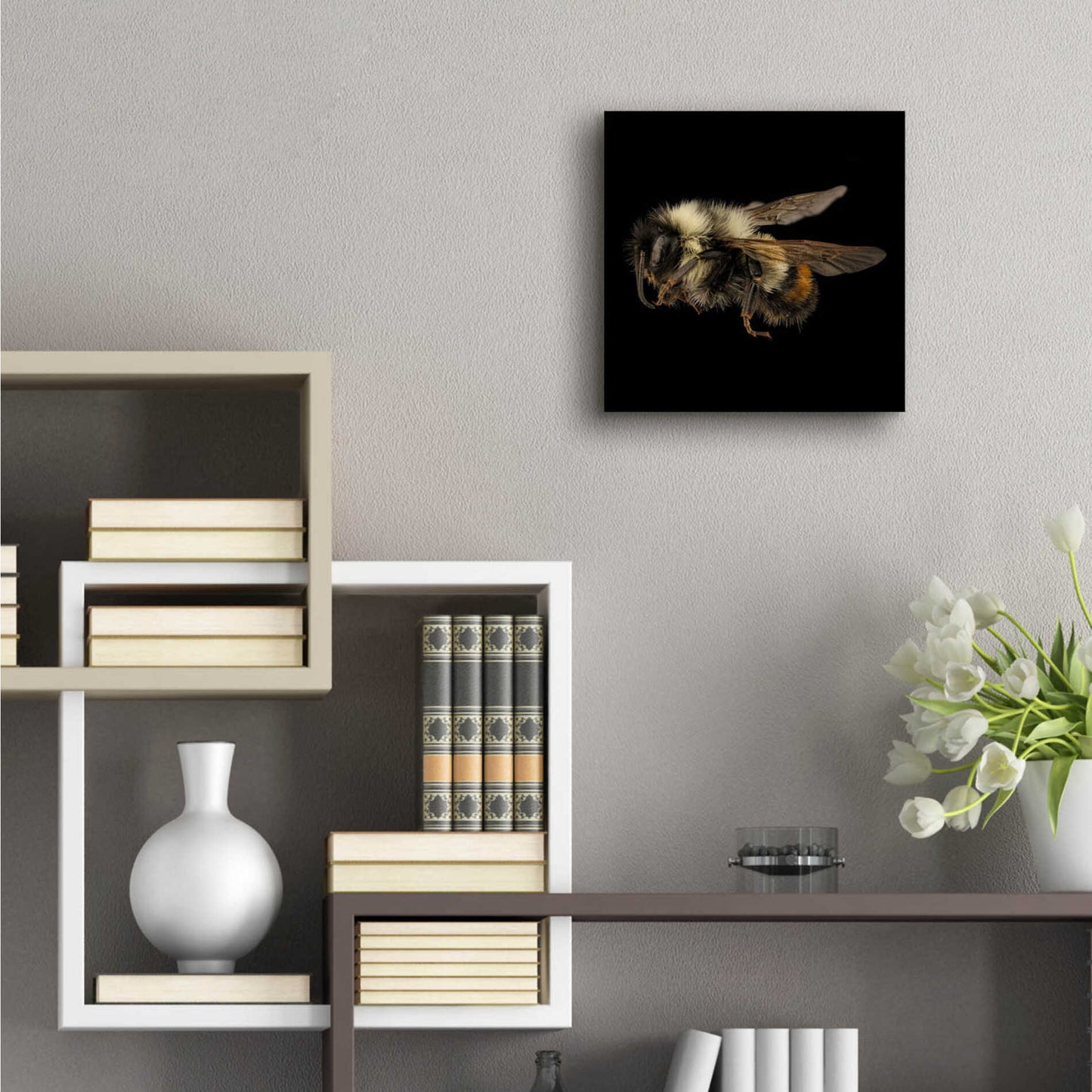 Epic Art 'Fuzzy Buzzy' by Epic Portfolio Acrylic Glass Wall Art,12x12