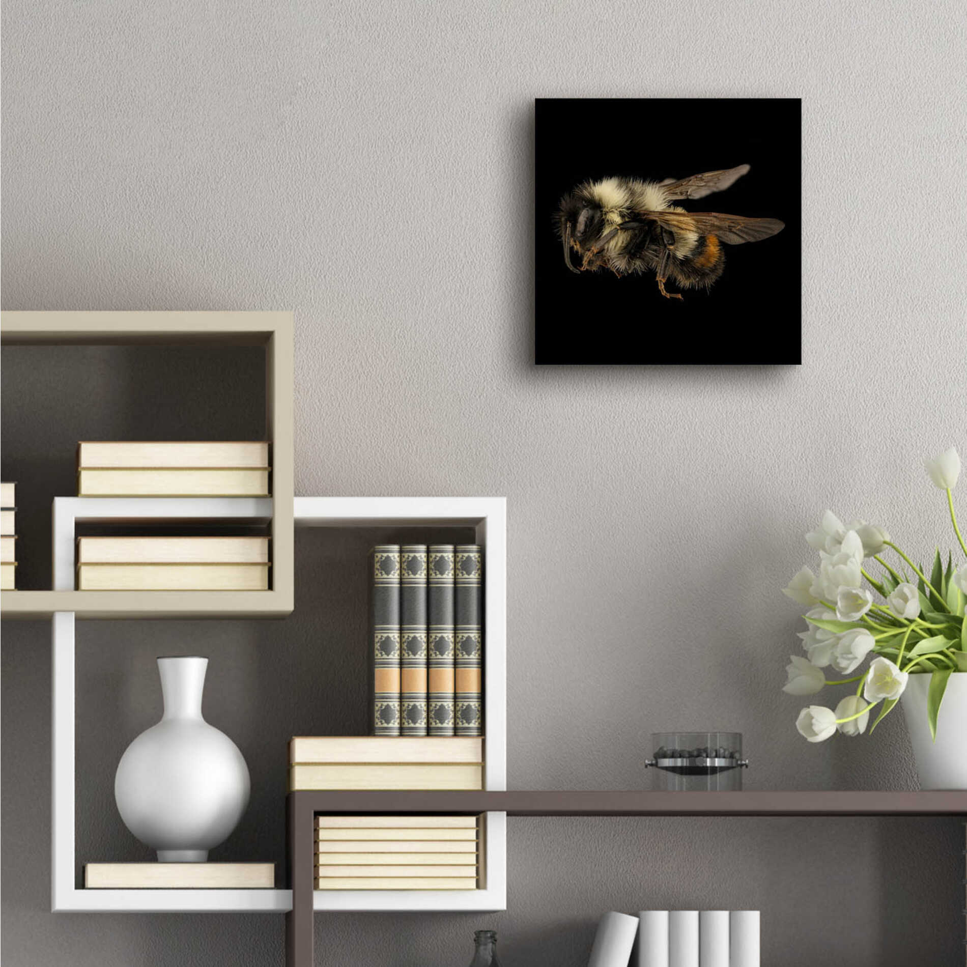 Epic Art 'Fuzzy Buzzy' by Epic Portfolio Acrylic Glass Wall Art,12x12