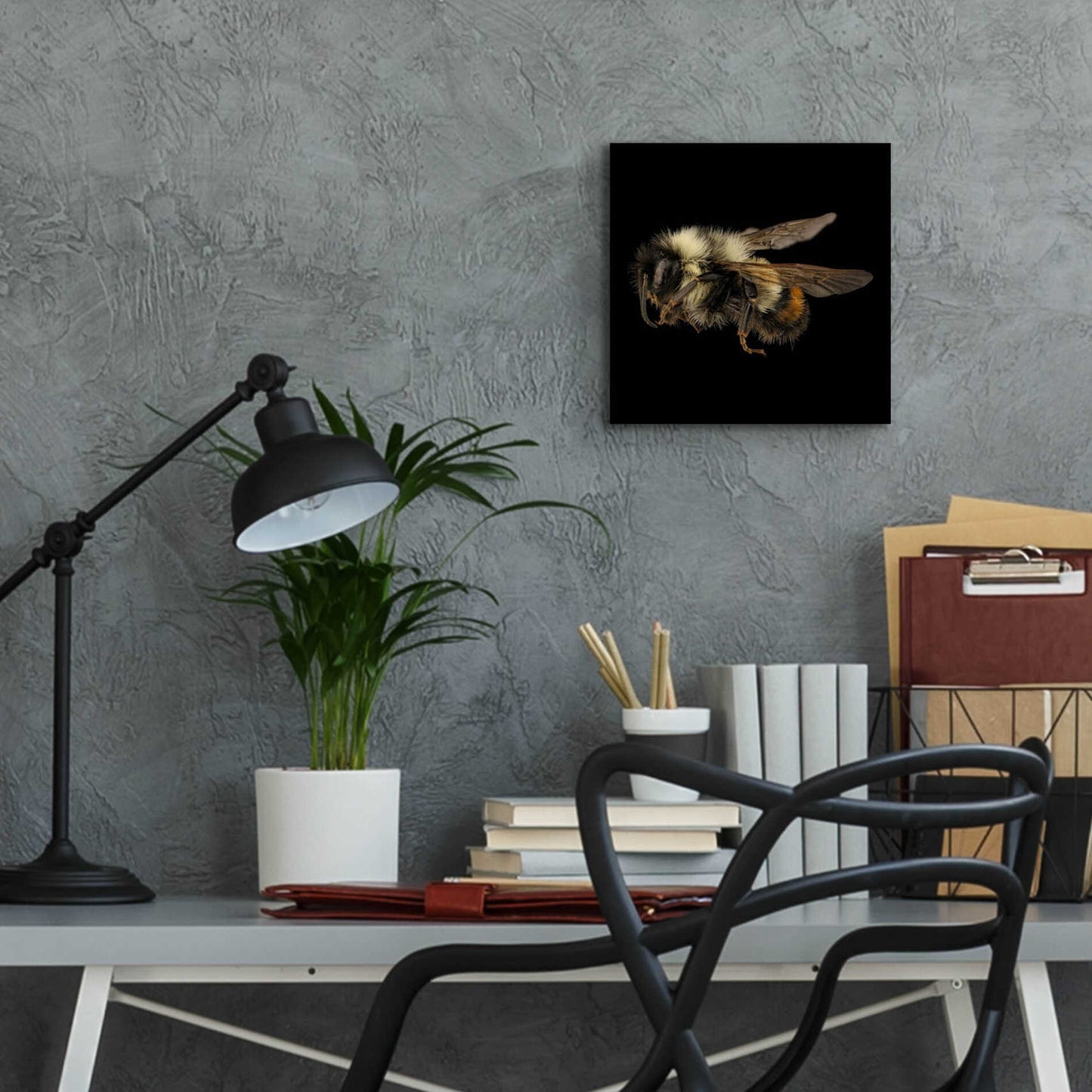 Epic Art 'Fuzzy Buzzy' by Epic Portfolio Acrylic Glass Wall Art,12x12