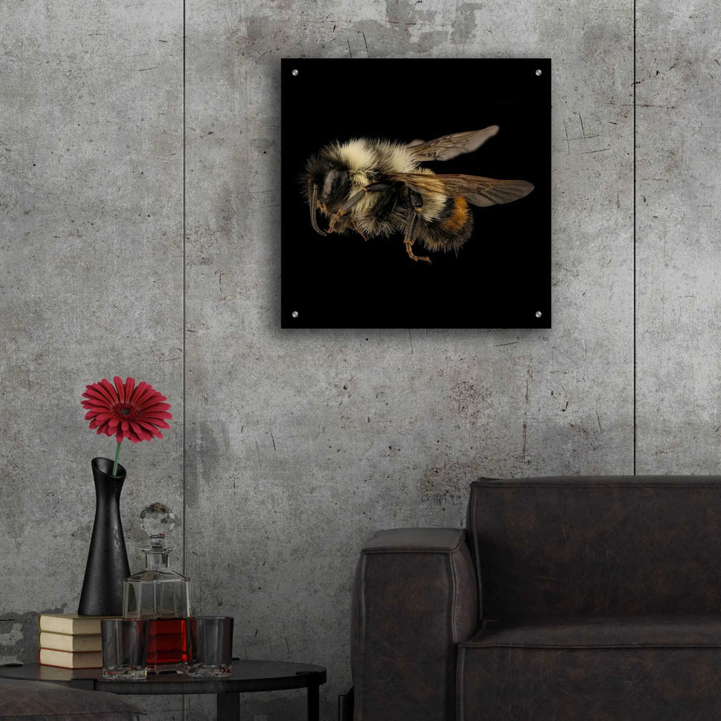 Epic Art 'Fuzzy Buzzy' by Epic Portfolio Acrylic Glass Wall Art,24x24