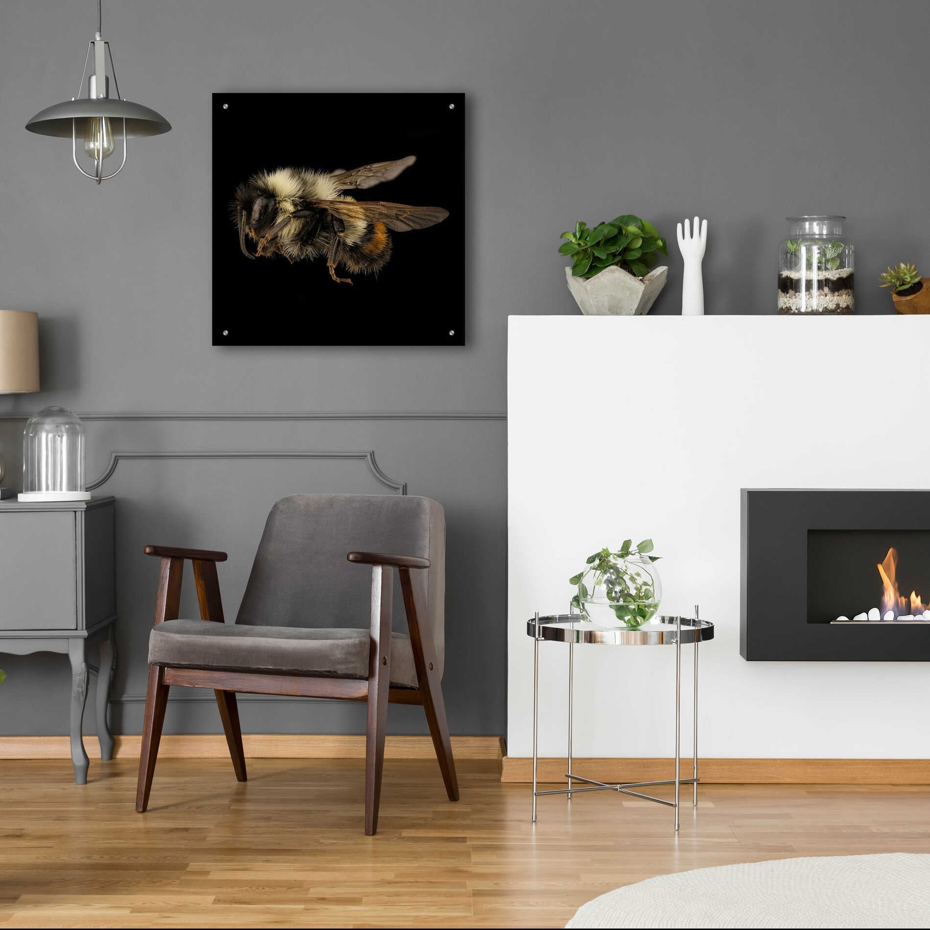 Epic Art 'Fuzzy Buzzy' by Epic Portfolio Acrylic Glass Wall Art,24x24