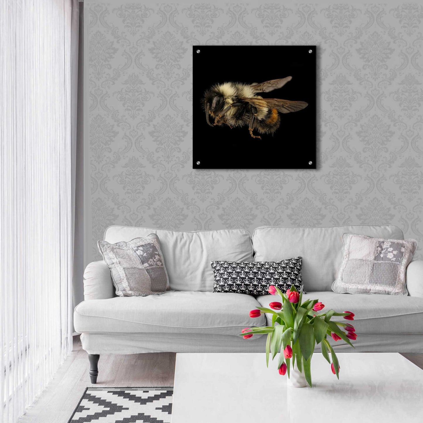 Epic Art 'Fuzzy Buzzy' by Epic Portfolio Acrylic Glass Wall Art,24x24