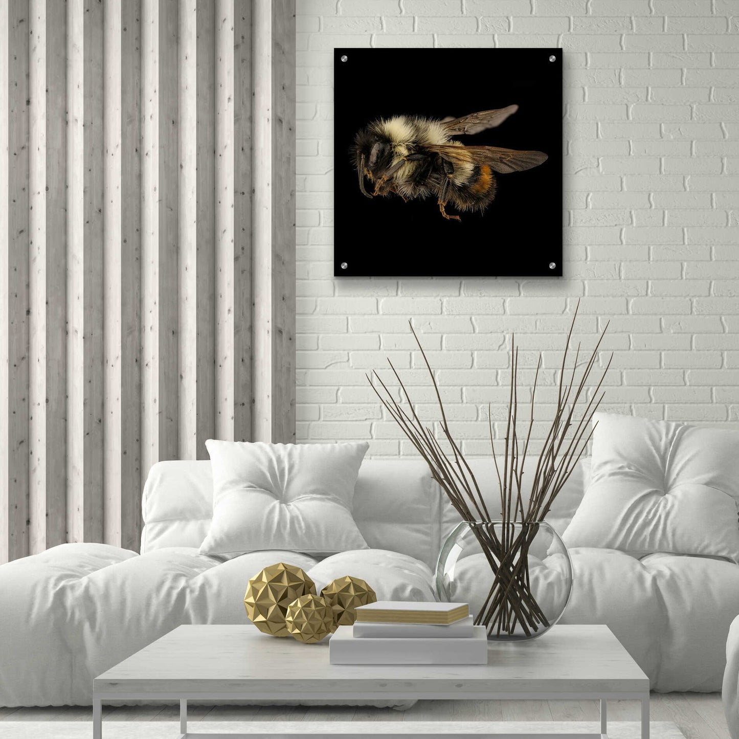 Epic Art 'Fuzzy Buzzy' by Epic Portfolio Acrylic Glass Wall Art,24x24