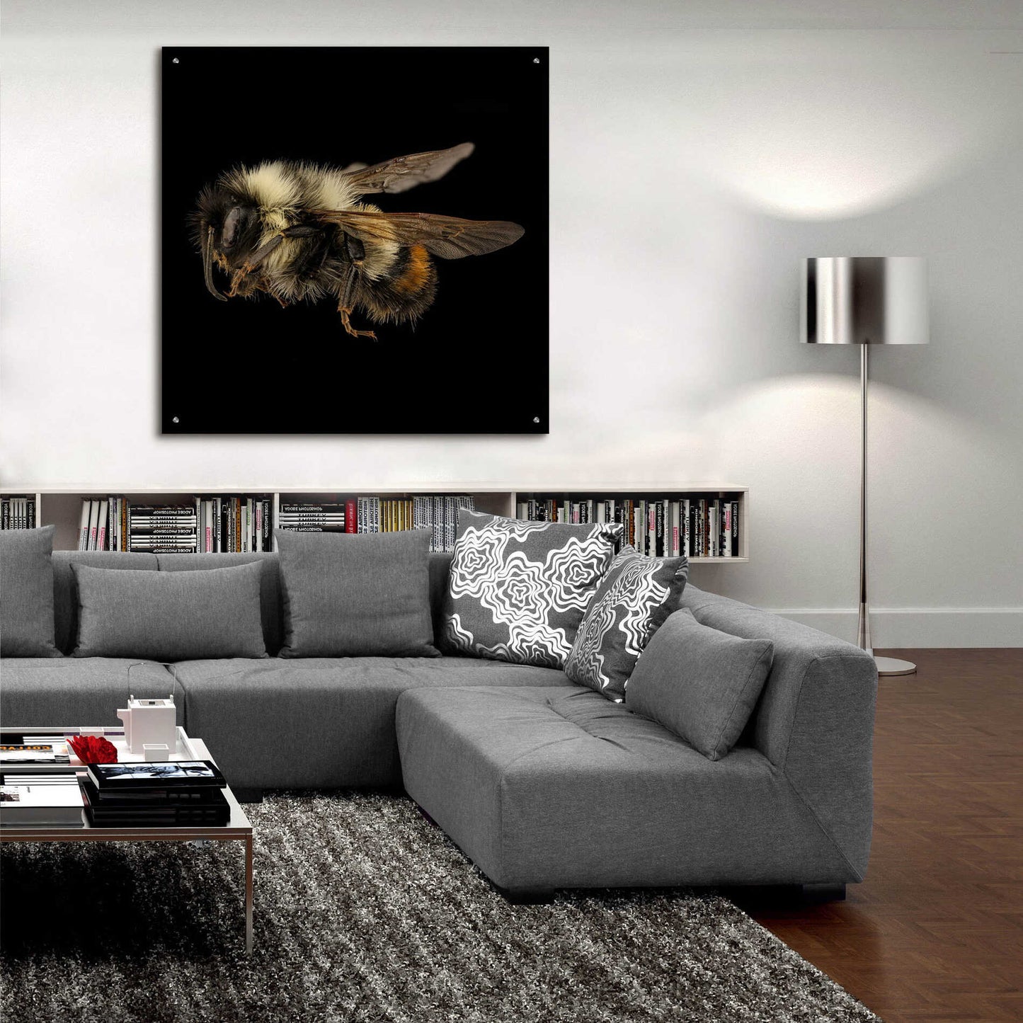 Epic Art 'Fuzzy Buzzy' by Epic Portfolio Acrylic Glass Wall Art,36x36
