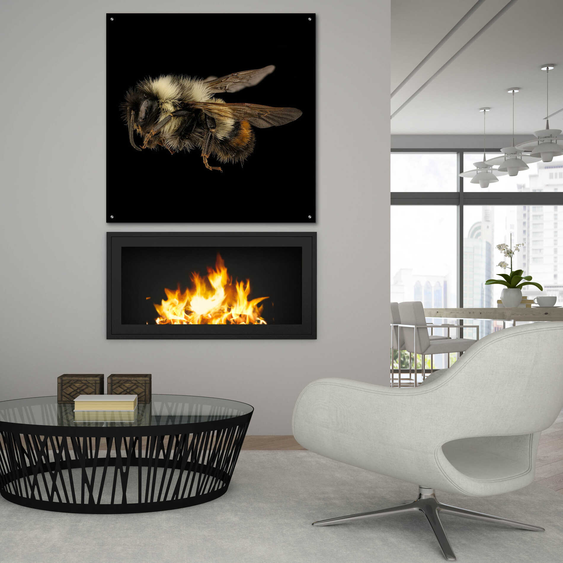 Epic Art 'Fuzzy Buzzy' by Epic Portfolio Acrylic Glass Wall Art,36x36