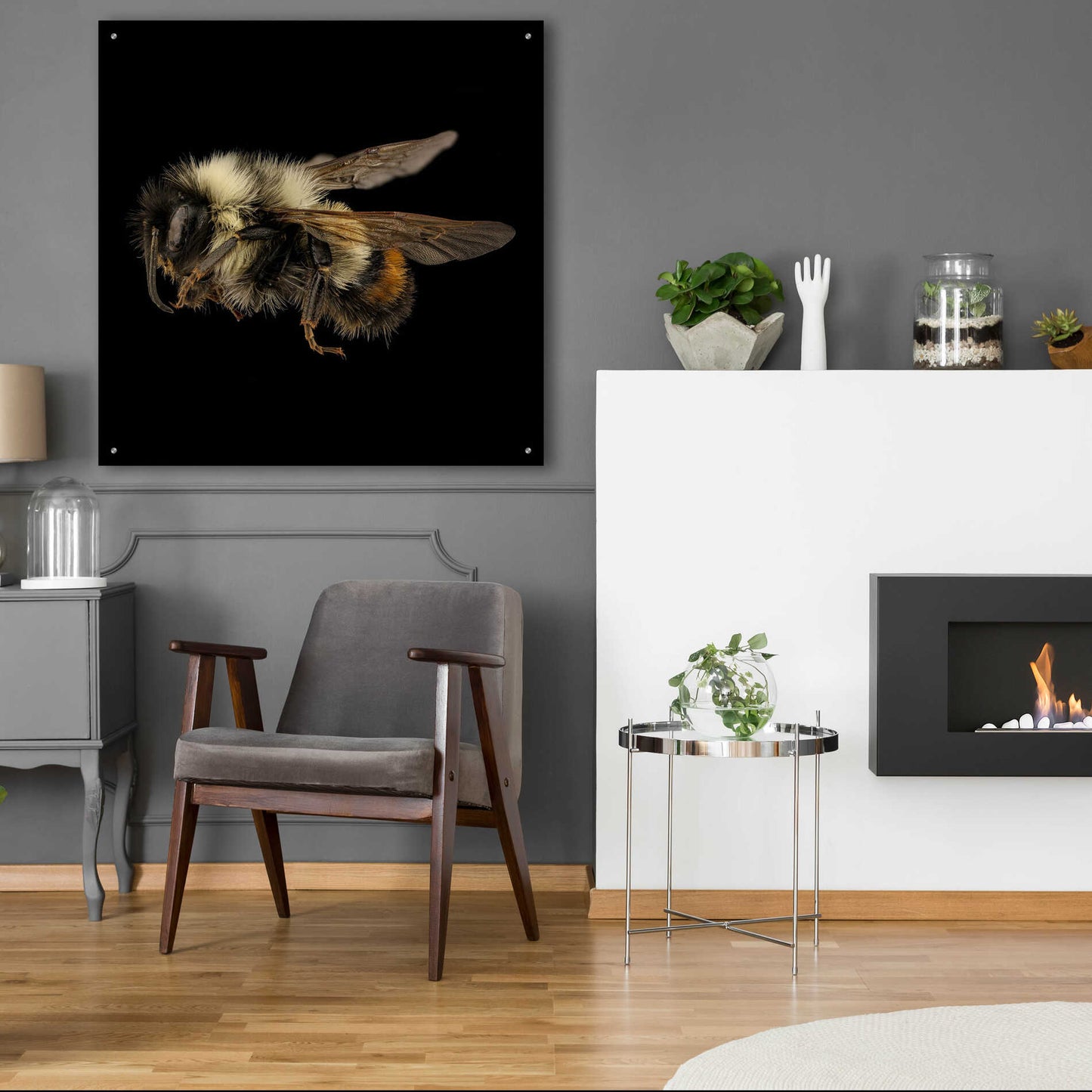 Epic Art 'Fuzzy Buzzy' by Epic Portfolio Acrylic Glass Wall Art,36x36