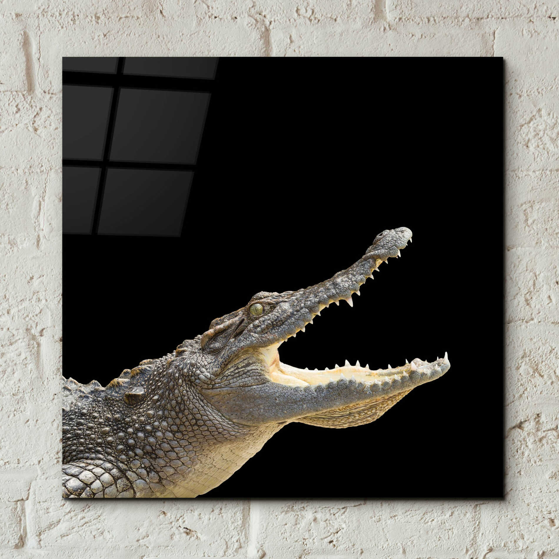 Epic Art 'Gator Games' by Epic Portfolio Acrylic Glass Wall Art,12x12