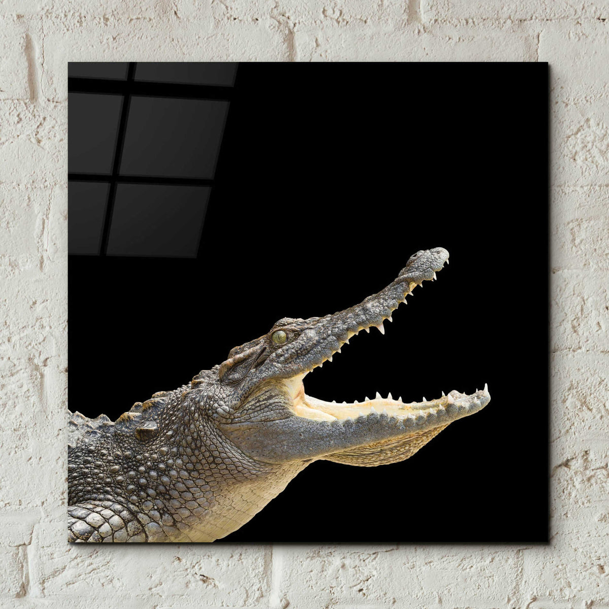 Epic Art 'Gator Games' by Epic Portfolio Acrylic Glass Wall Art,12x12