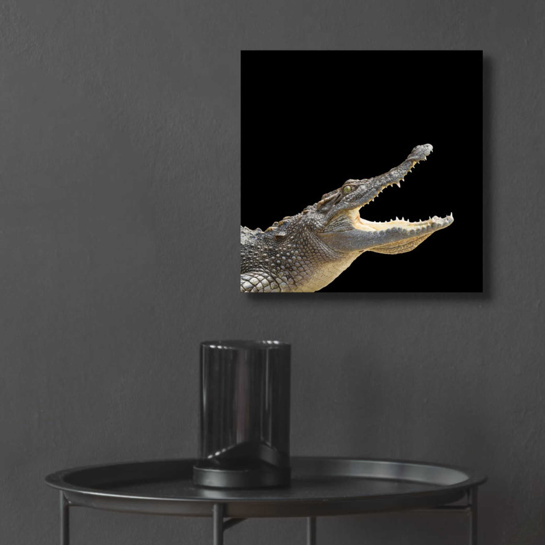 Epic Art 'Gator Games' by Epic Portfolio Acrylic Glass Wall Art,12x12