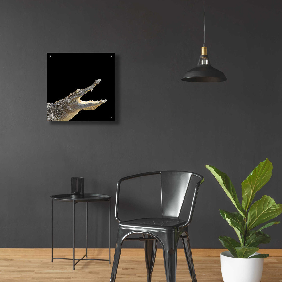 Epic Art 'Gator Games' by Epic Portfolio Acrylic Glass Wall Art,24x24