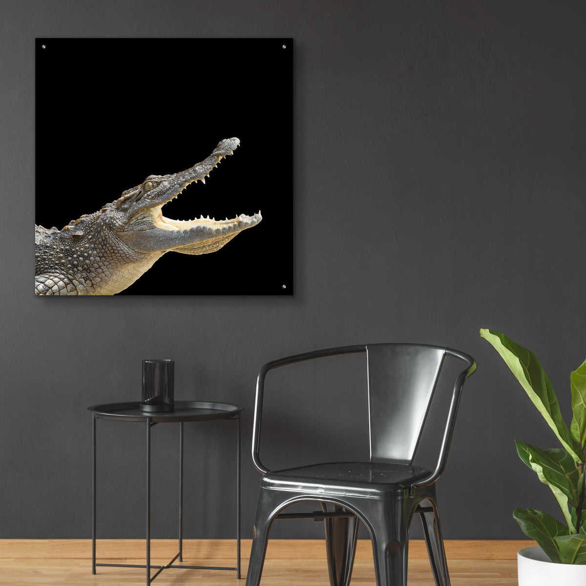 Epic Art 'Gator Games' by Epic Portfolio Acrylic Glass Wall Art,36x36