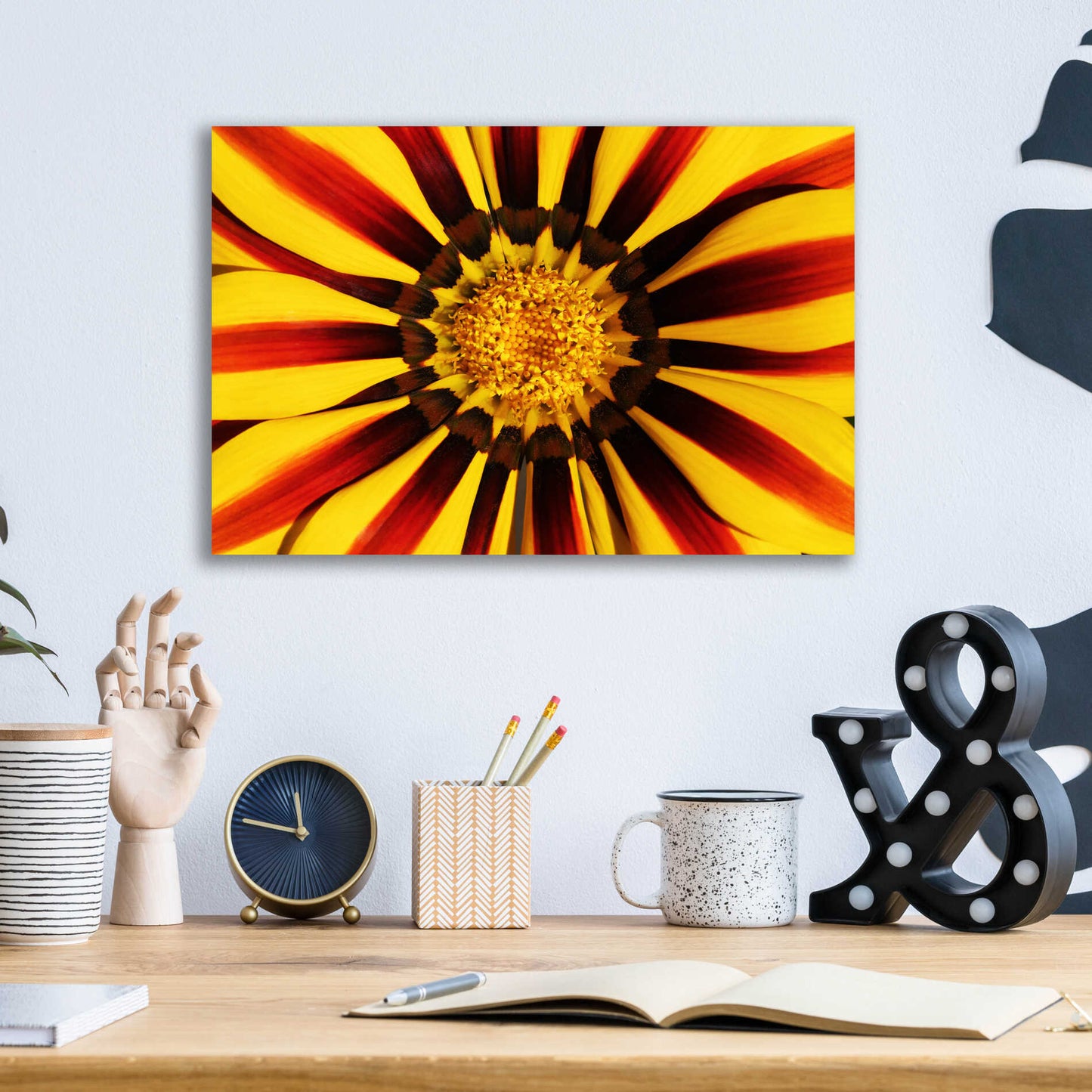 Epic Art 'Gazania' by Epic Portfolio Acrylic Glass Wall Art,16x12