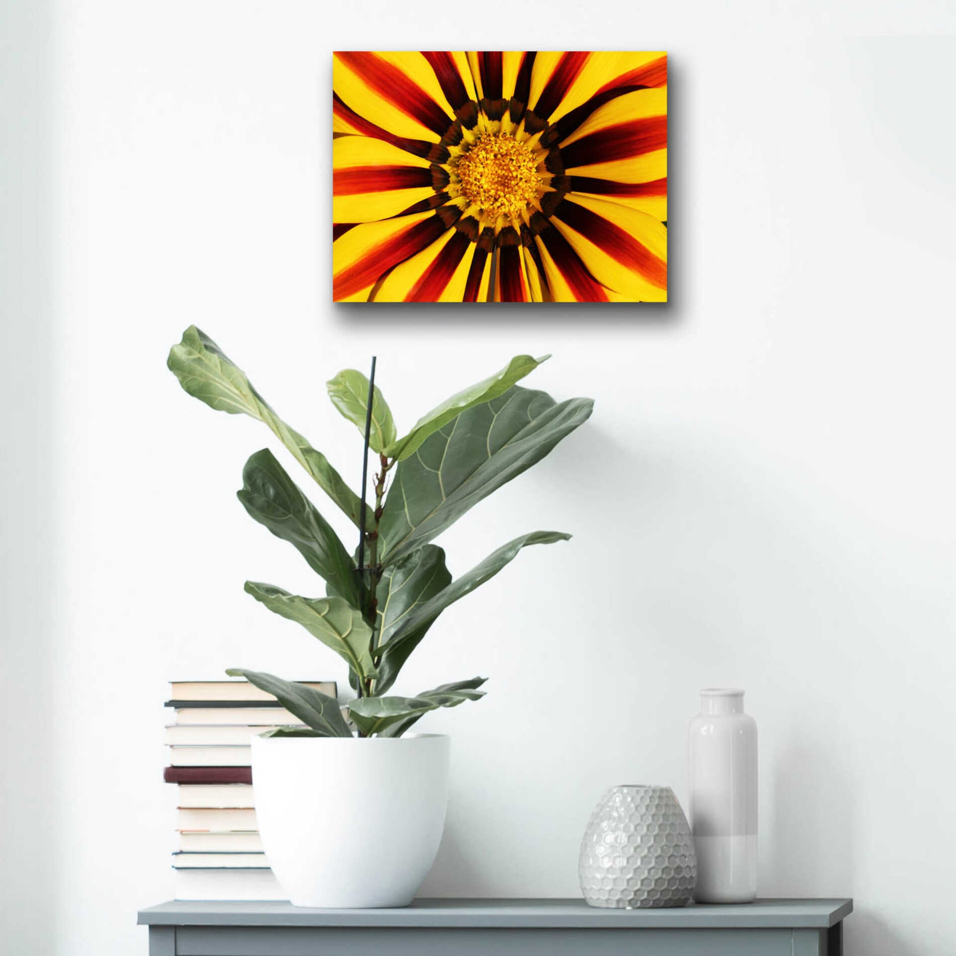 Epic Art 'Gazania' by Epic Portfolio Acrylic Glass Wall Art,16x12