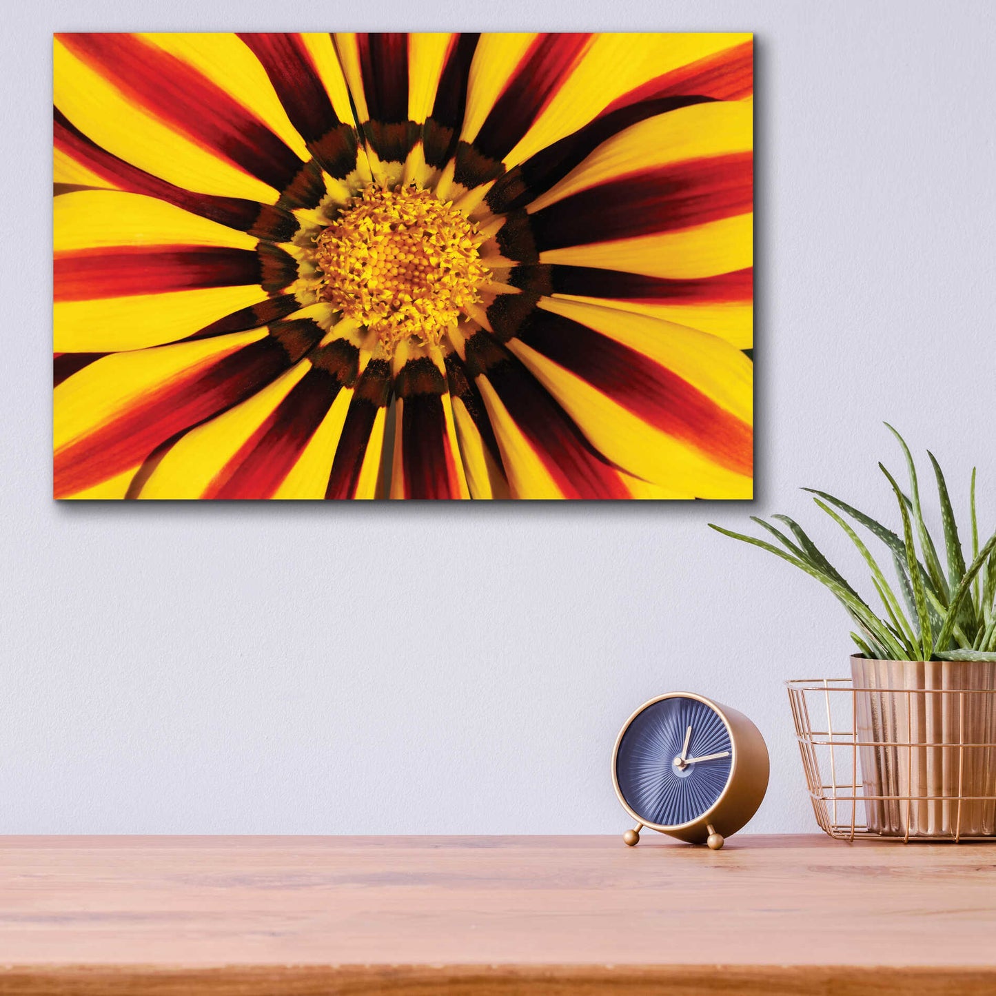 Epic Art 'Gazania' by Epic Portfolio Acrylic Glass Wall Art,16x12