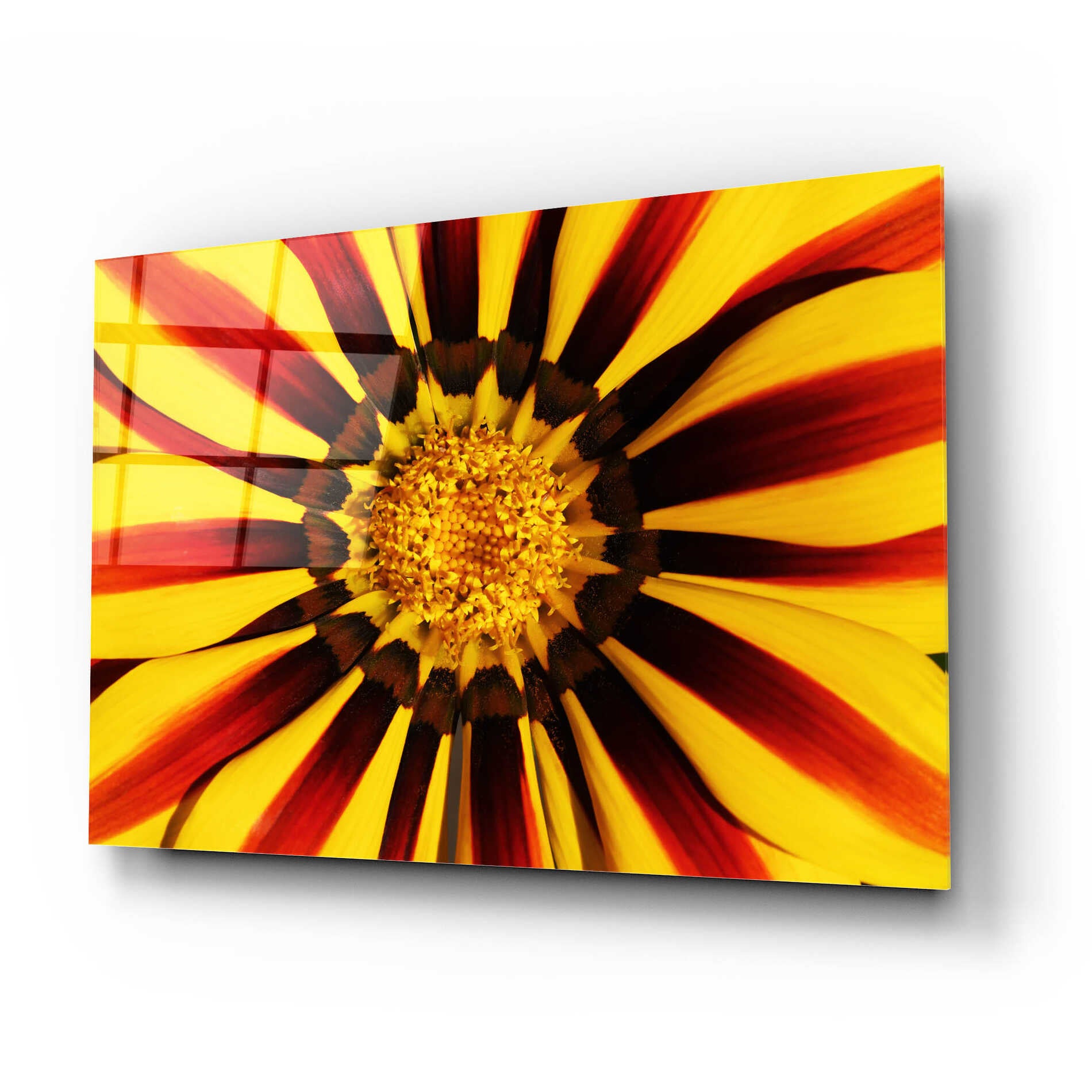 Epic Art 'Gazania' by Epic Portfolio Acrylic Glass Wall Art,24x16