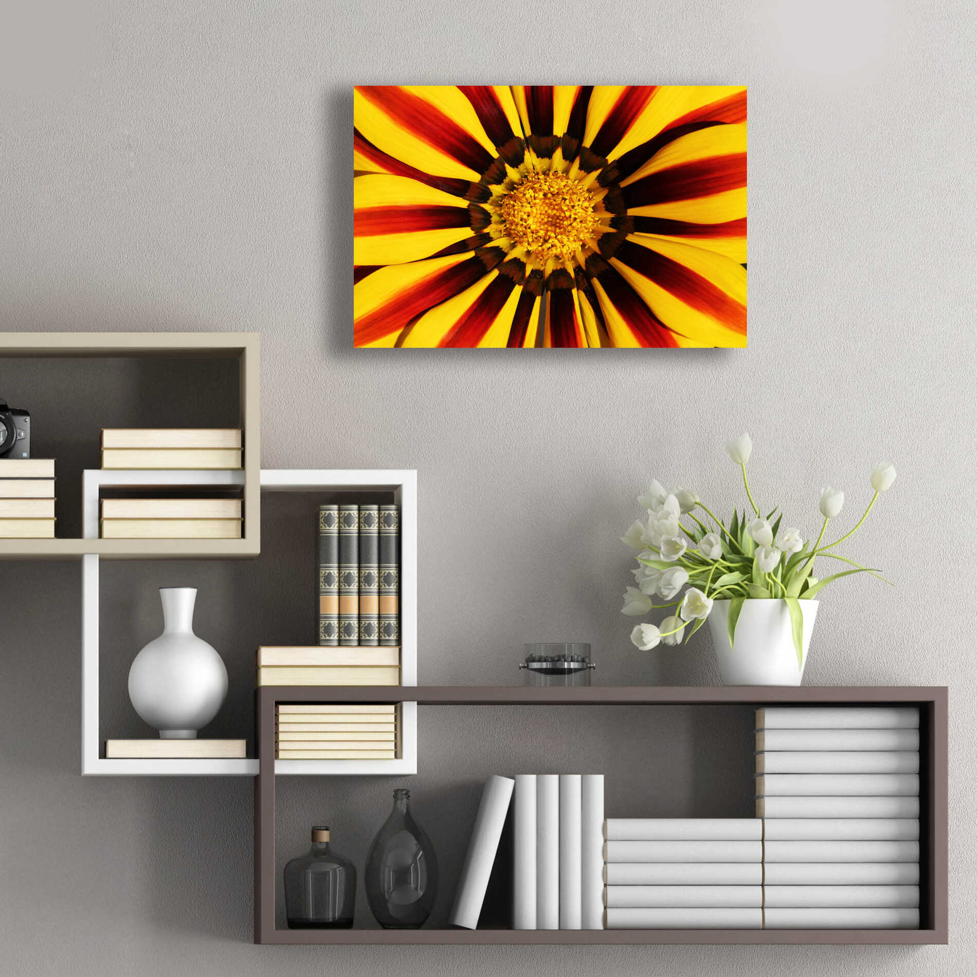 Epic Art 'Gazania' by Epic Portfolio Acrylic Glass Wall Art,24x16