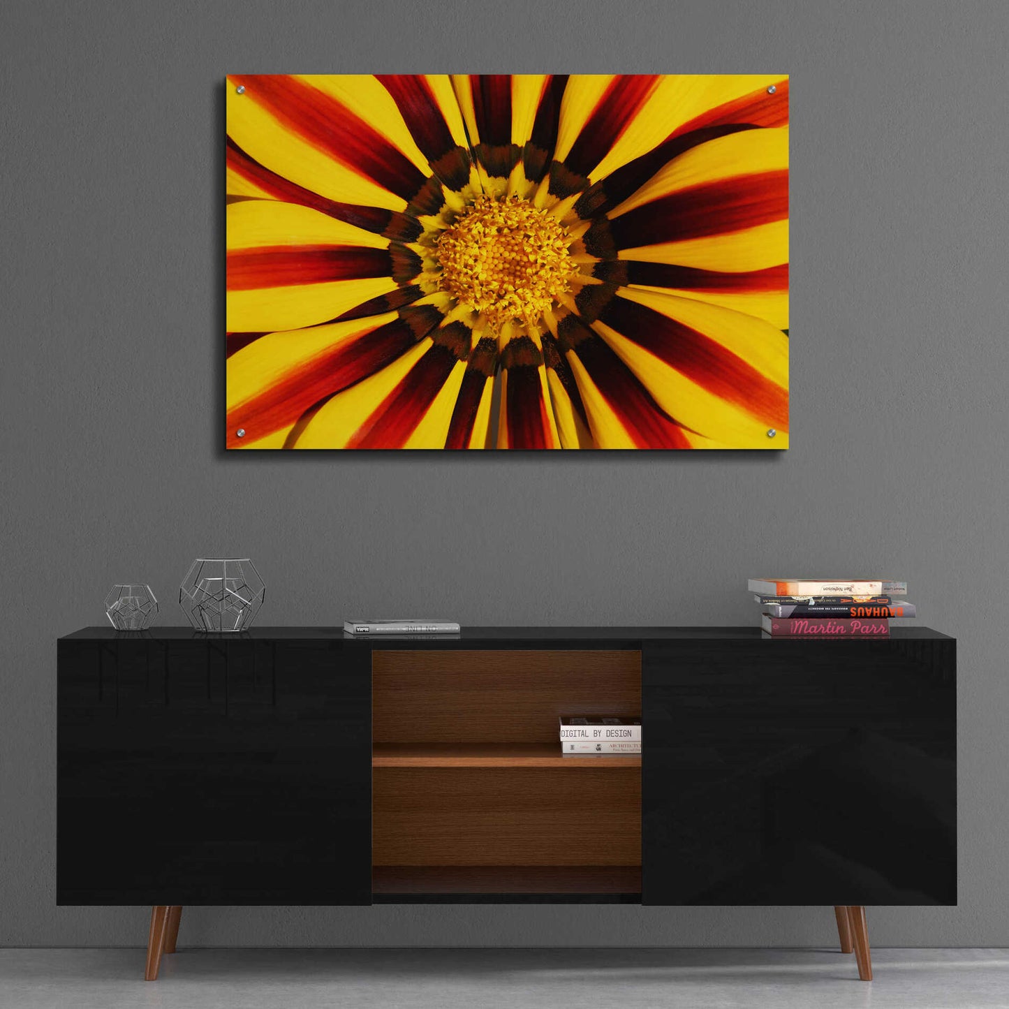 Epic Art 'Gazania' by Epic Portfolio Acrylic Glass Wall Art,36x24