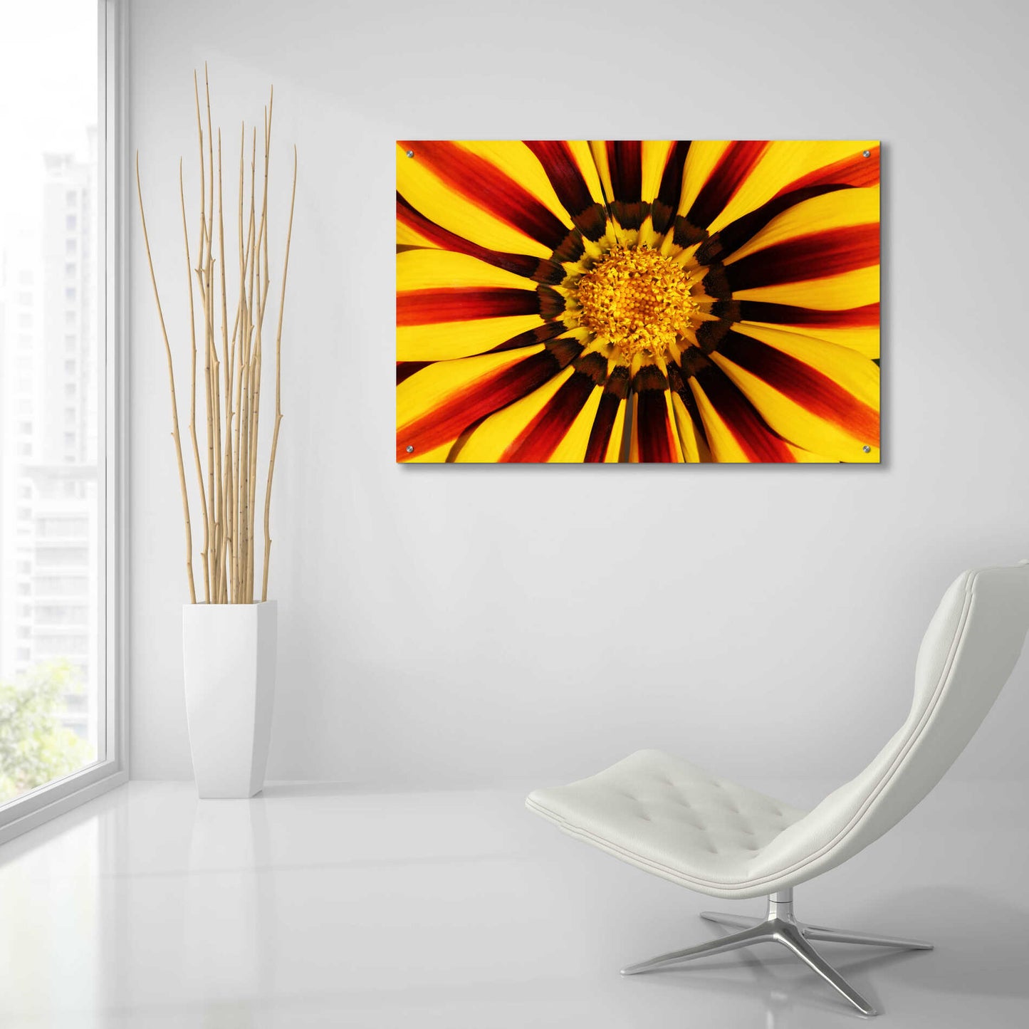 Epic Art 'Gazania' by Epic Portfolio Acrylic Glass Wall Art,36x24