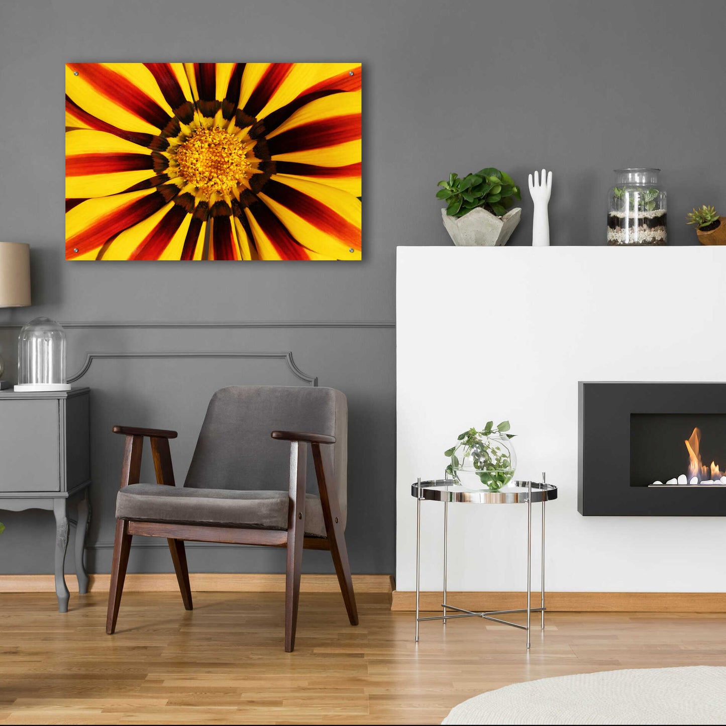 Epic Art 'Gazania' by Epic Portfolio Acrylic Glass Wall Art,36x24