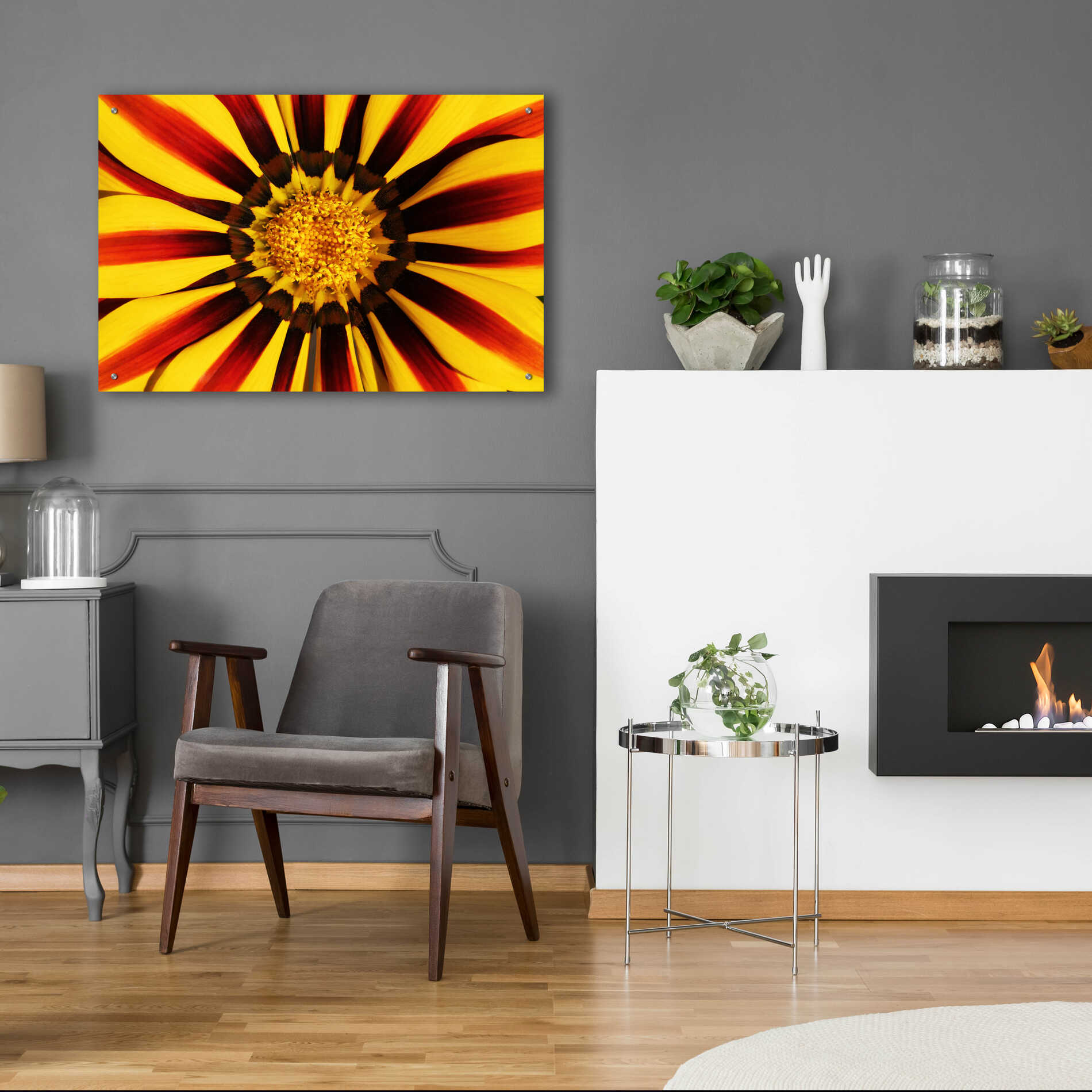 Epic Art 'Gazania' by Epic Portfolio Acrylic Glass Wall Art,36x24