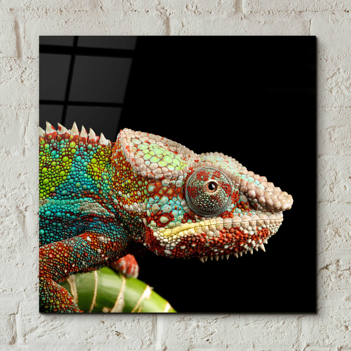 Epic Art 'Hide And Seek' by Epic Portfolio Acrylic Glass Wall Art,12x12